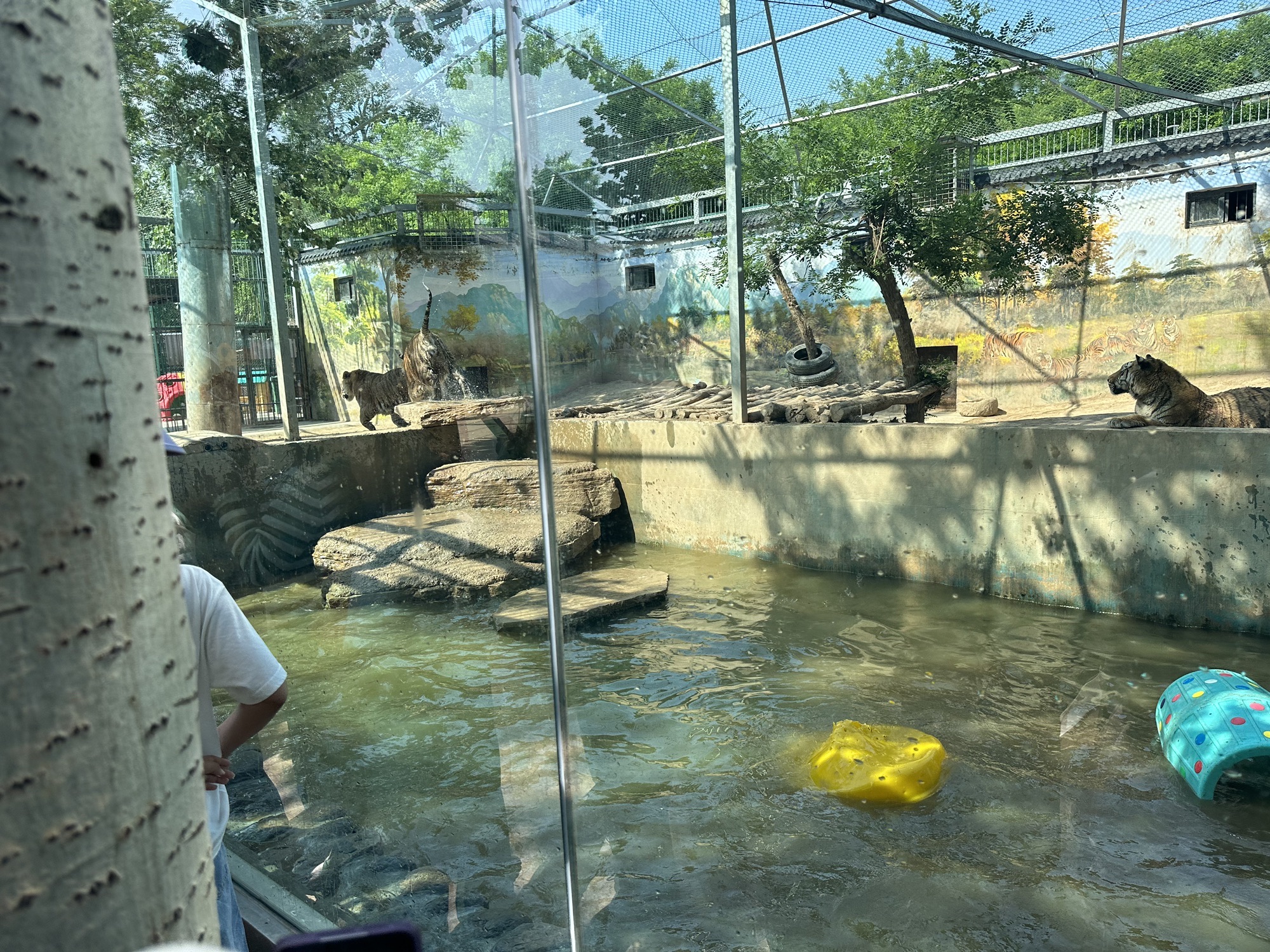 临汾市动物园旅行图片 1