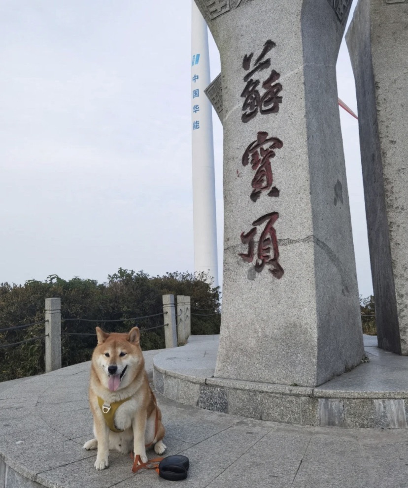中国人民抗日雪峰山会战纪念碑旅行图片 2