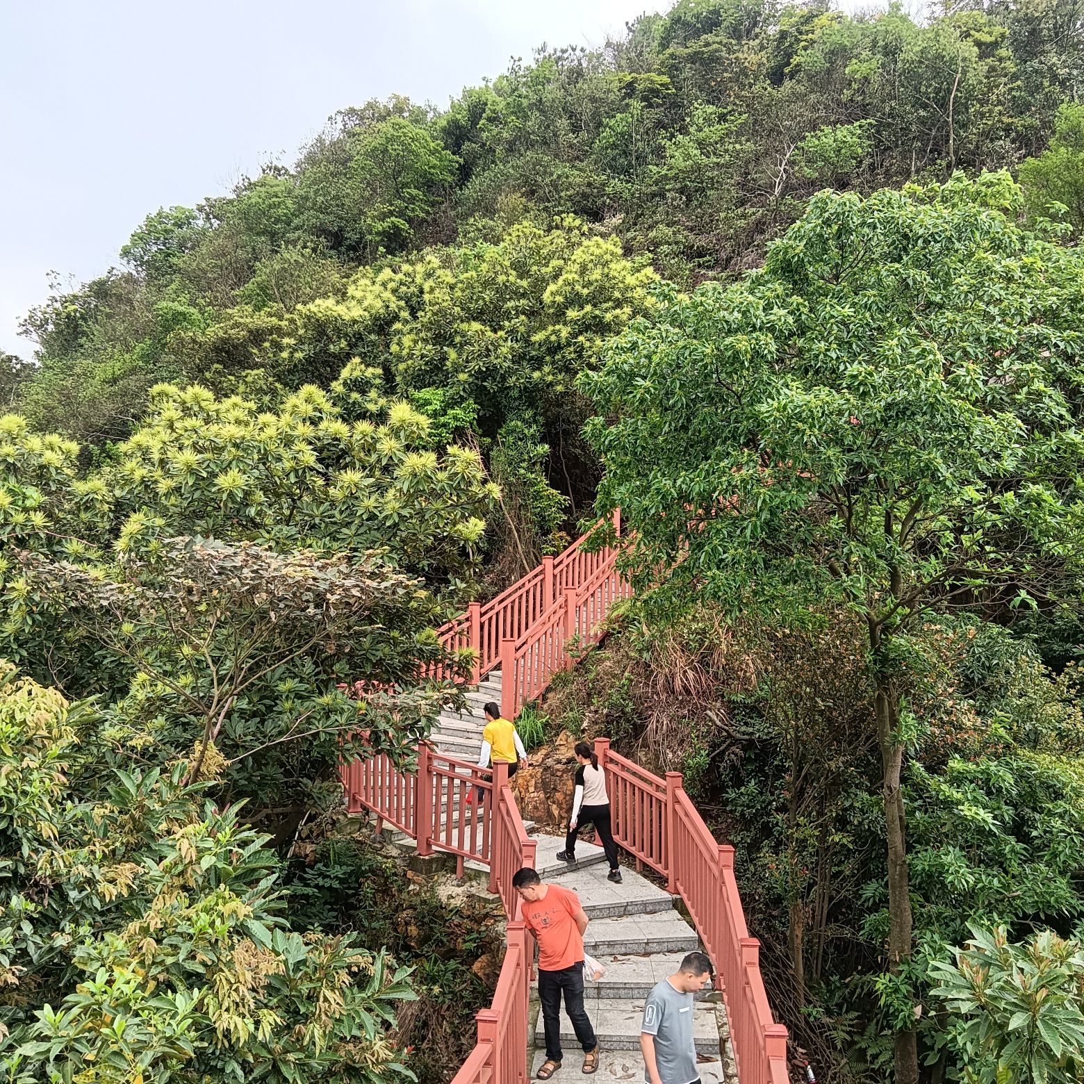 大南山森林文化公园旅行图片 3