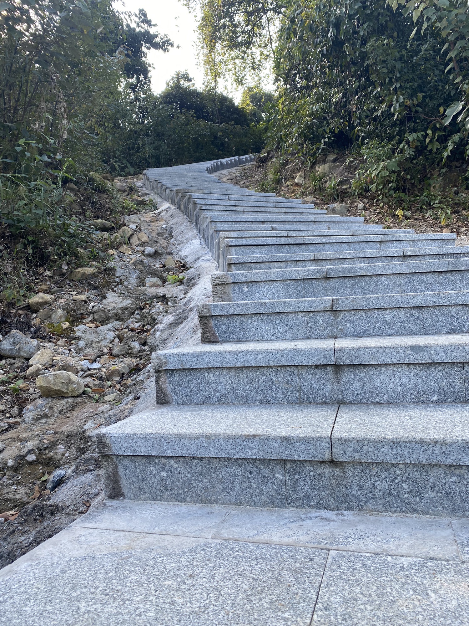 大南山森林文化公园旅行图片 3