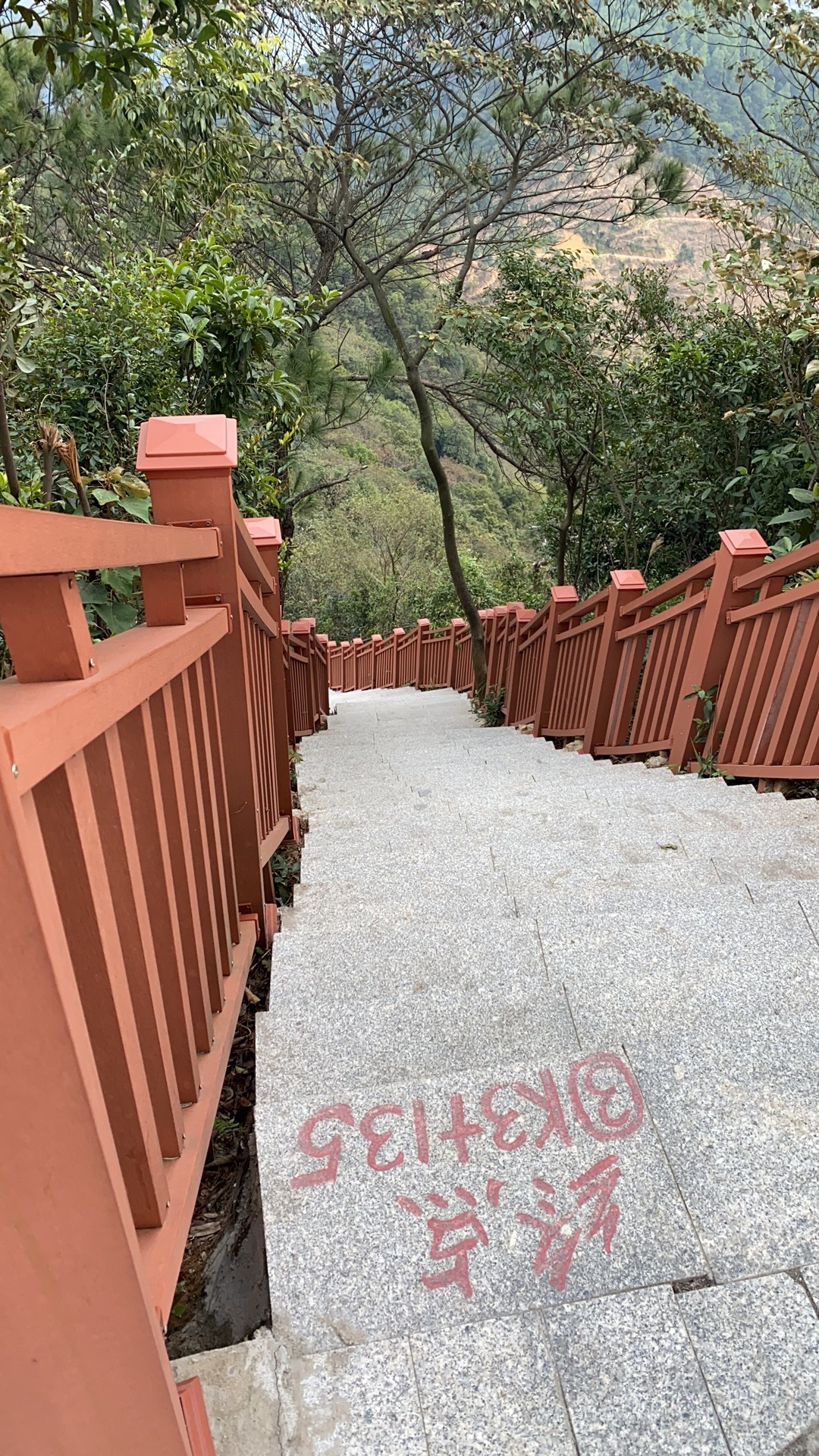 大南山森林文化公园旅行图片 1