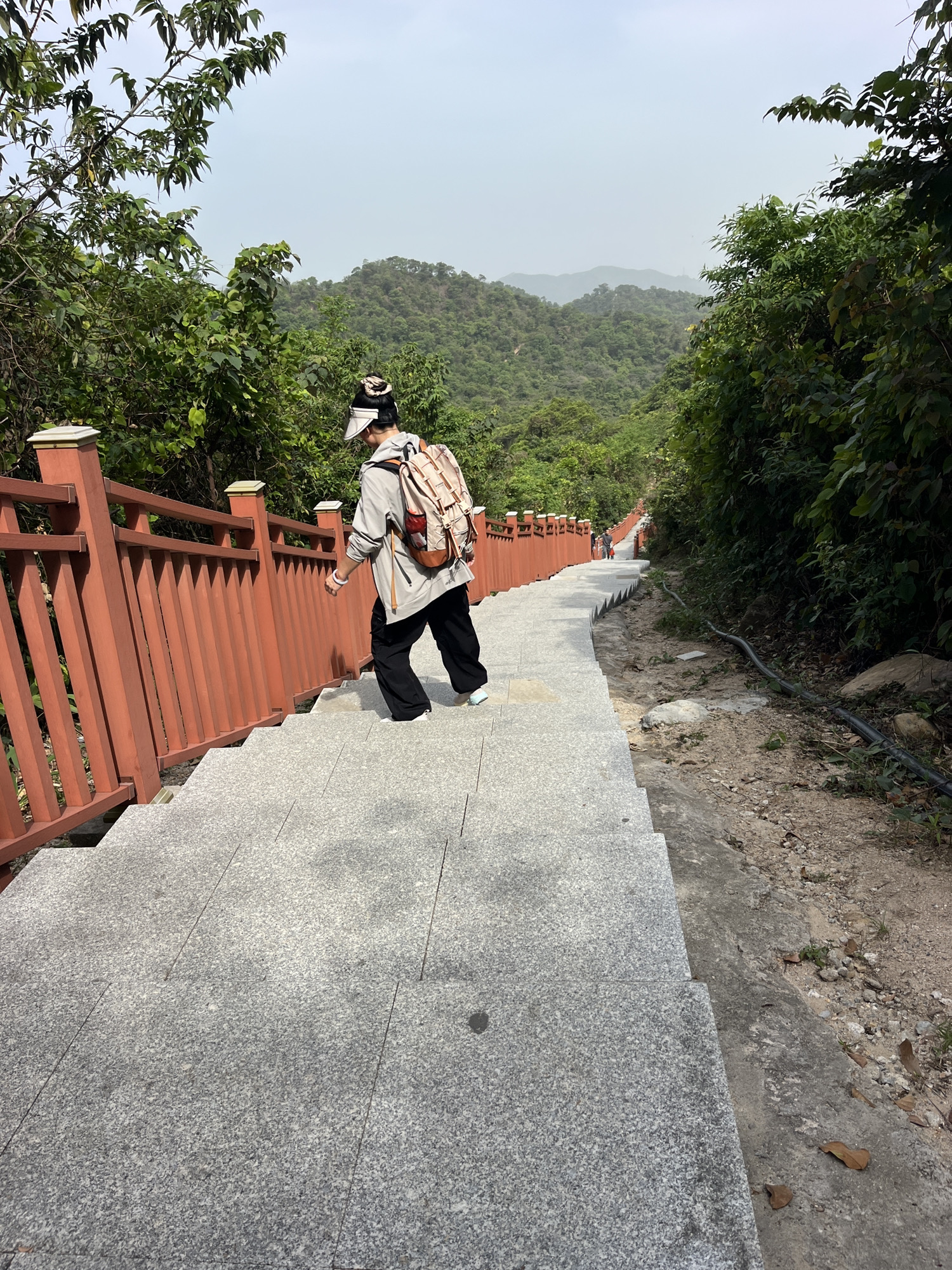 大南山森林文化公园旅行图片 2