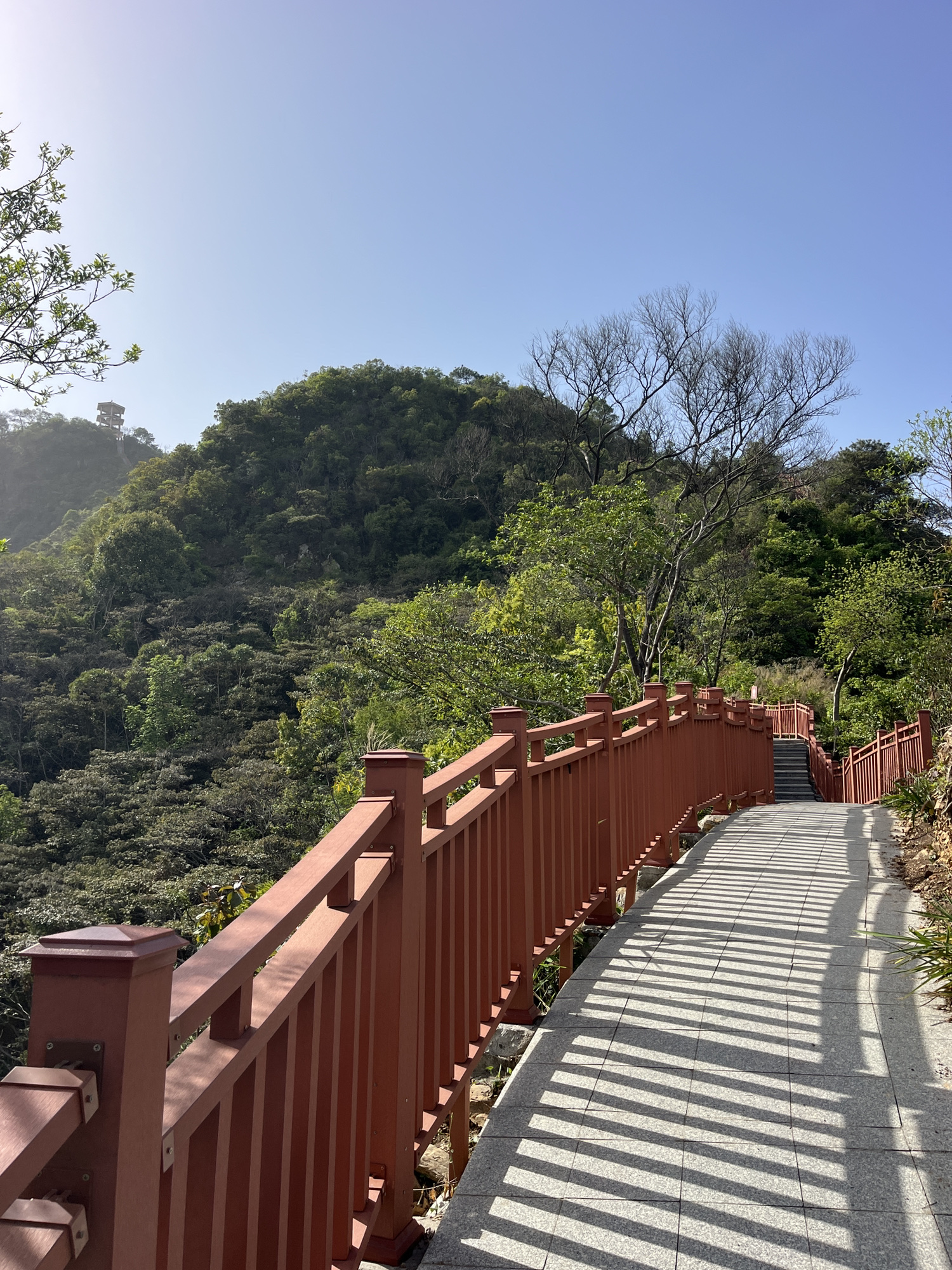 大南山森林文化公园旅行图片 3