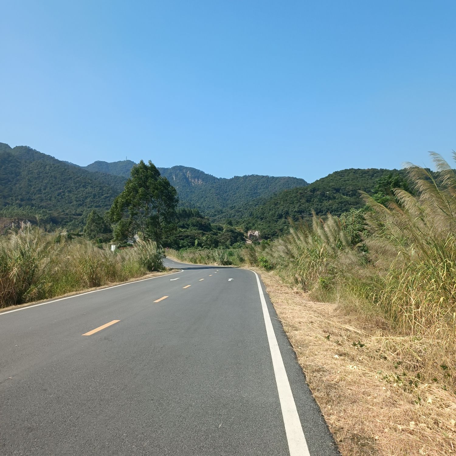 大南山森林文化公园旅行图片 2
