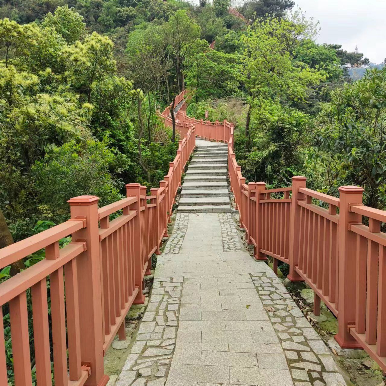 大南山森林文化公园旅行图片 1
