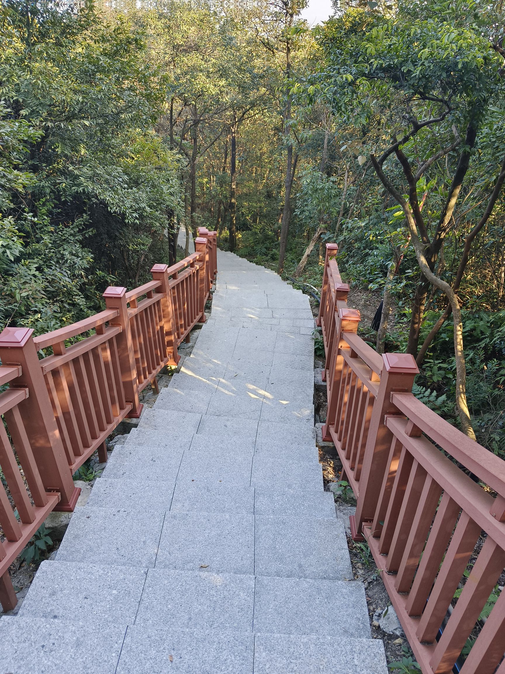 大南山森林文化公园旅行图片 1