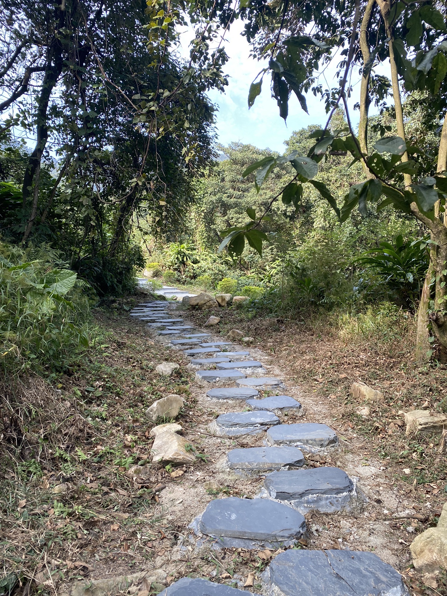 大南山森林文化公园旅行图片 2