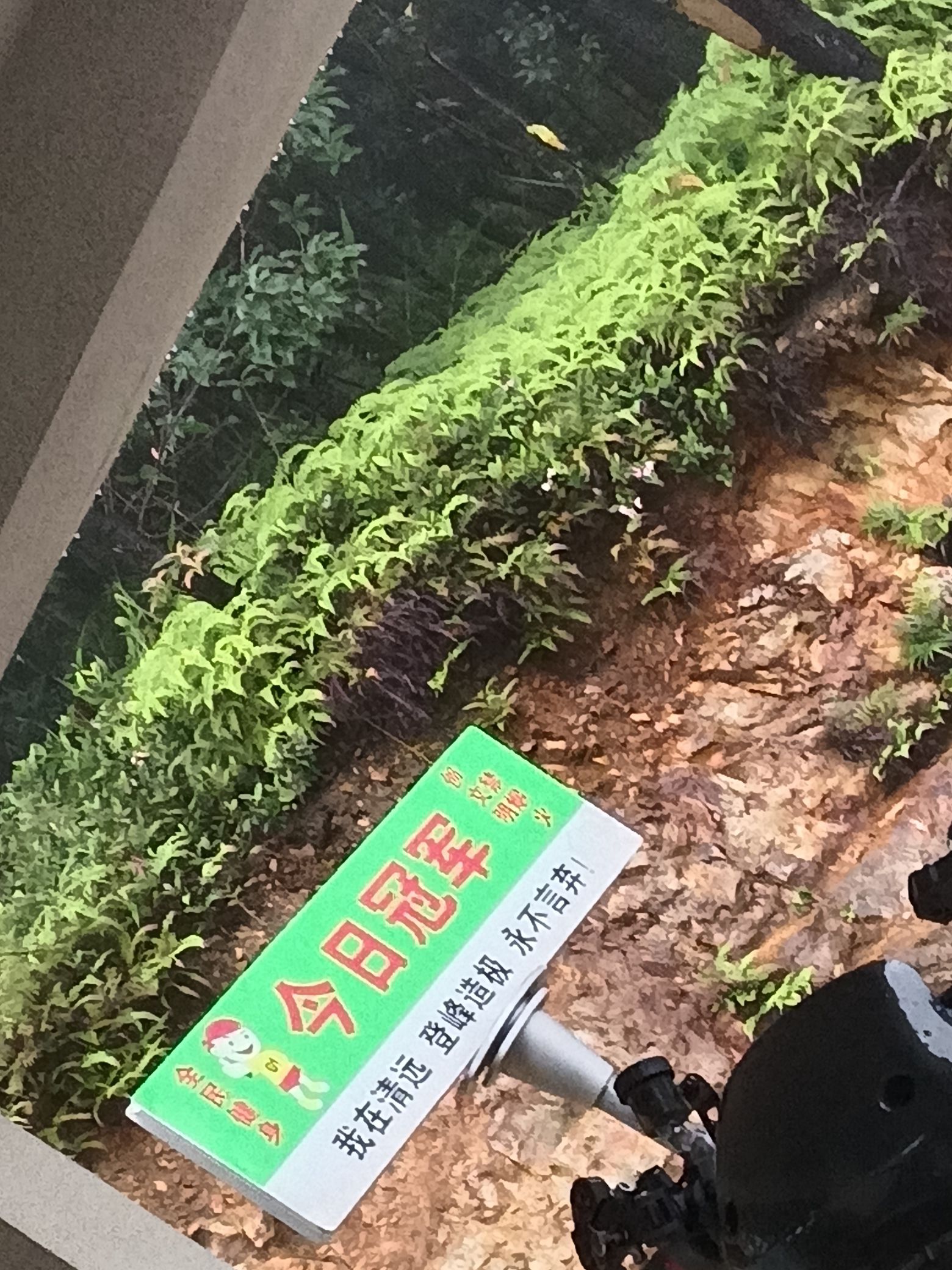 南峡山旅行图片 1