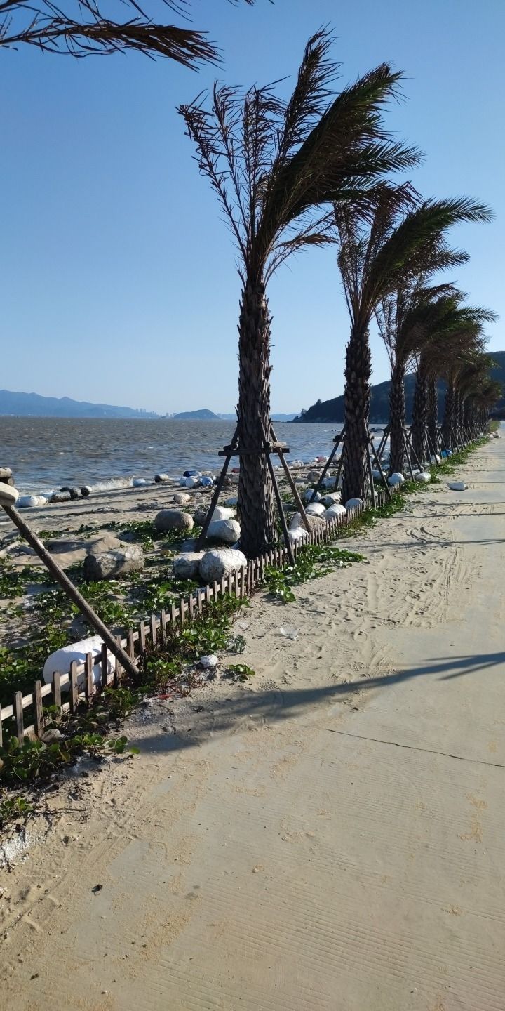 饶平县月照湾旅游观光服务中心