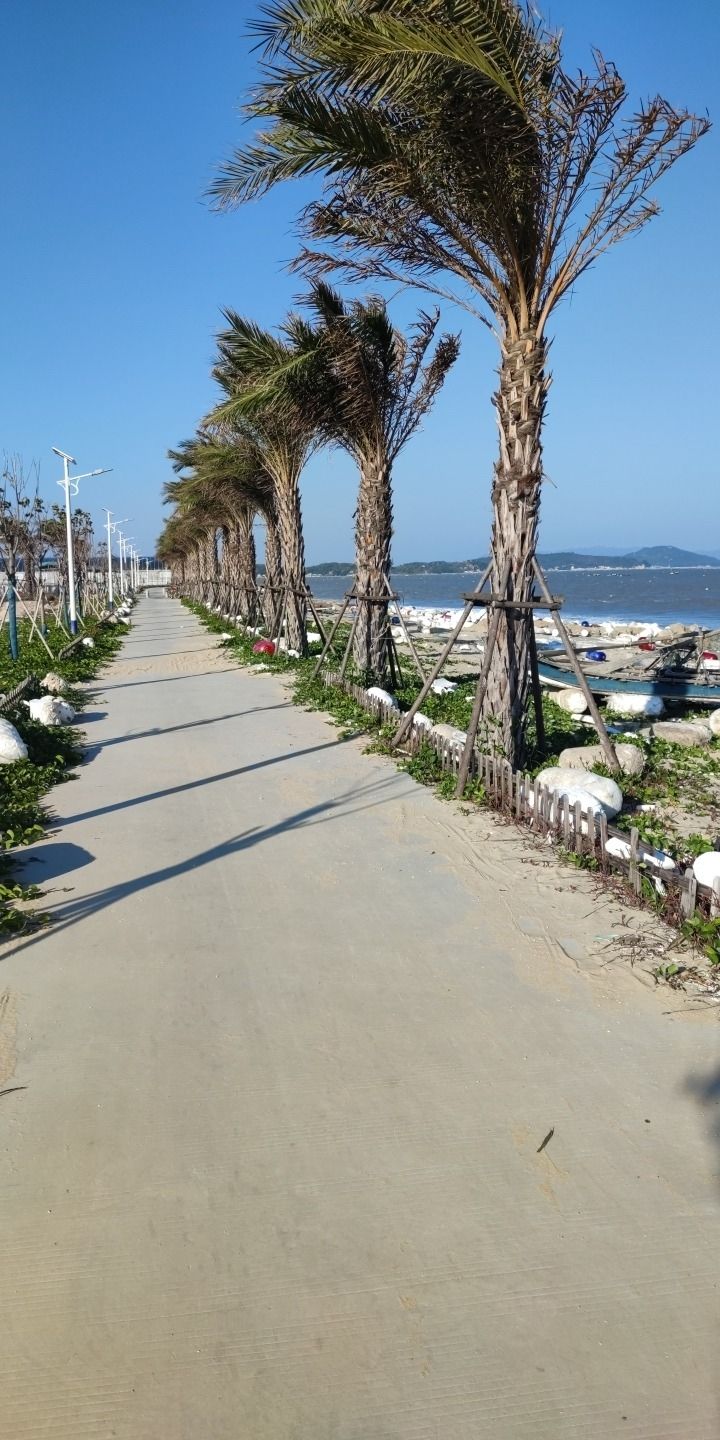 饶平县月照湾旅游观光服务中心