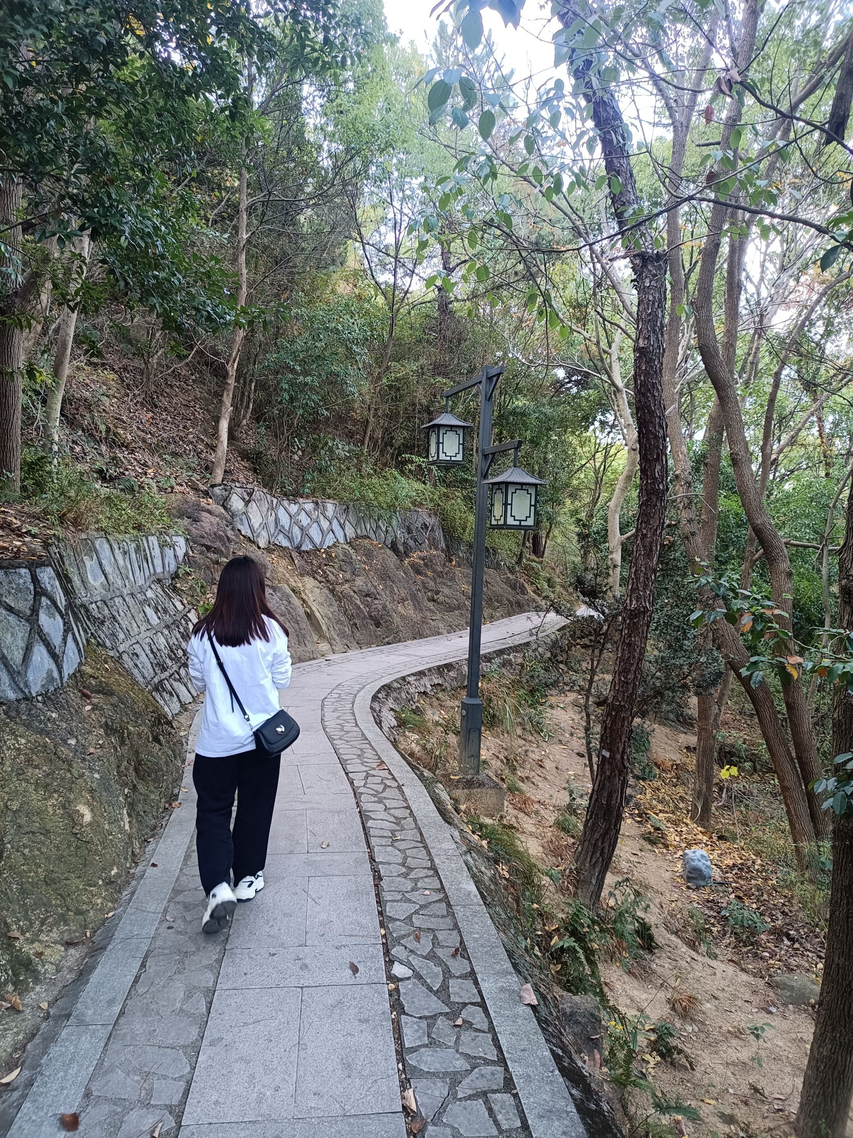 县龙山(老鹰山)游步道旅行图片 2