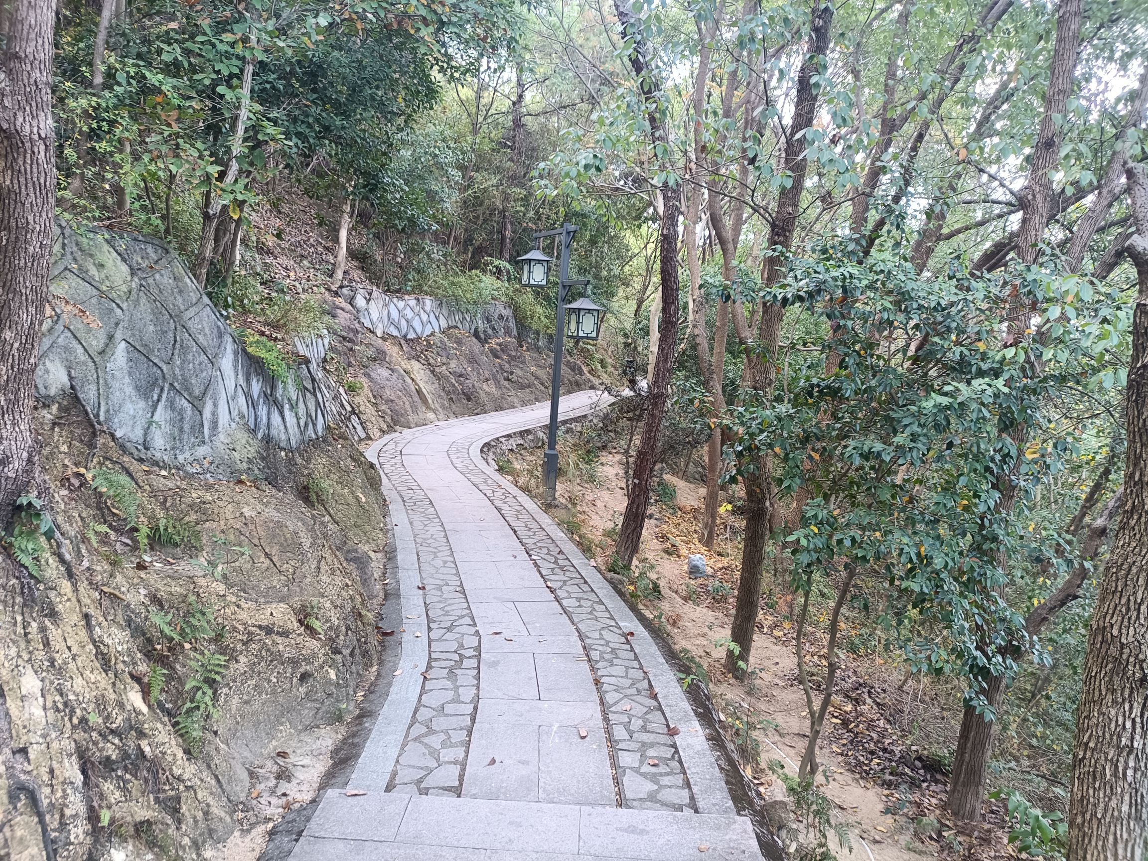 县龙山(老鹰山)游步道旅行图片 1