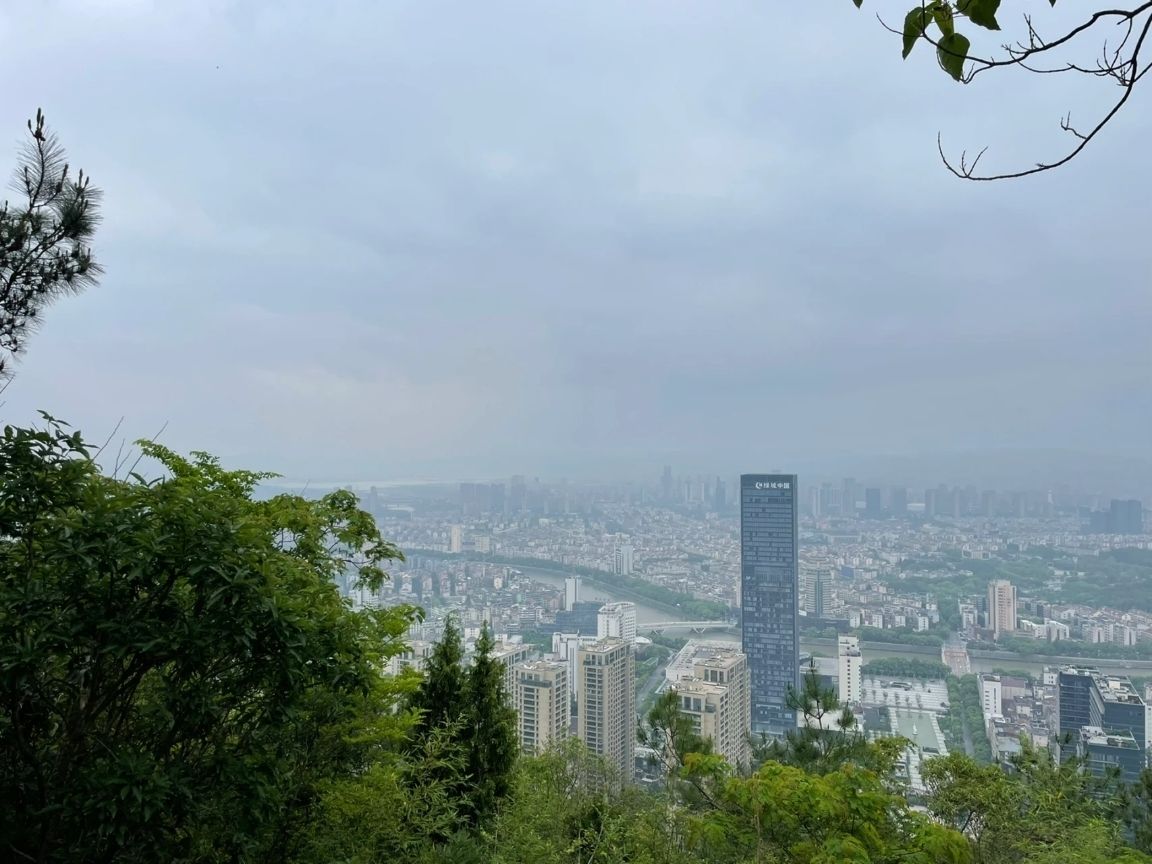县龙山(老鹰山)游步道旅行图片 1