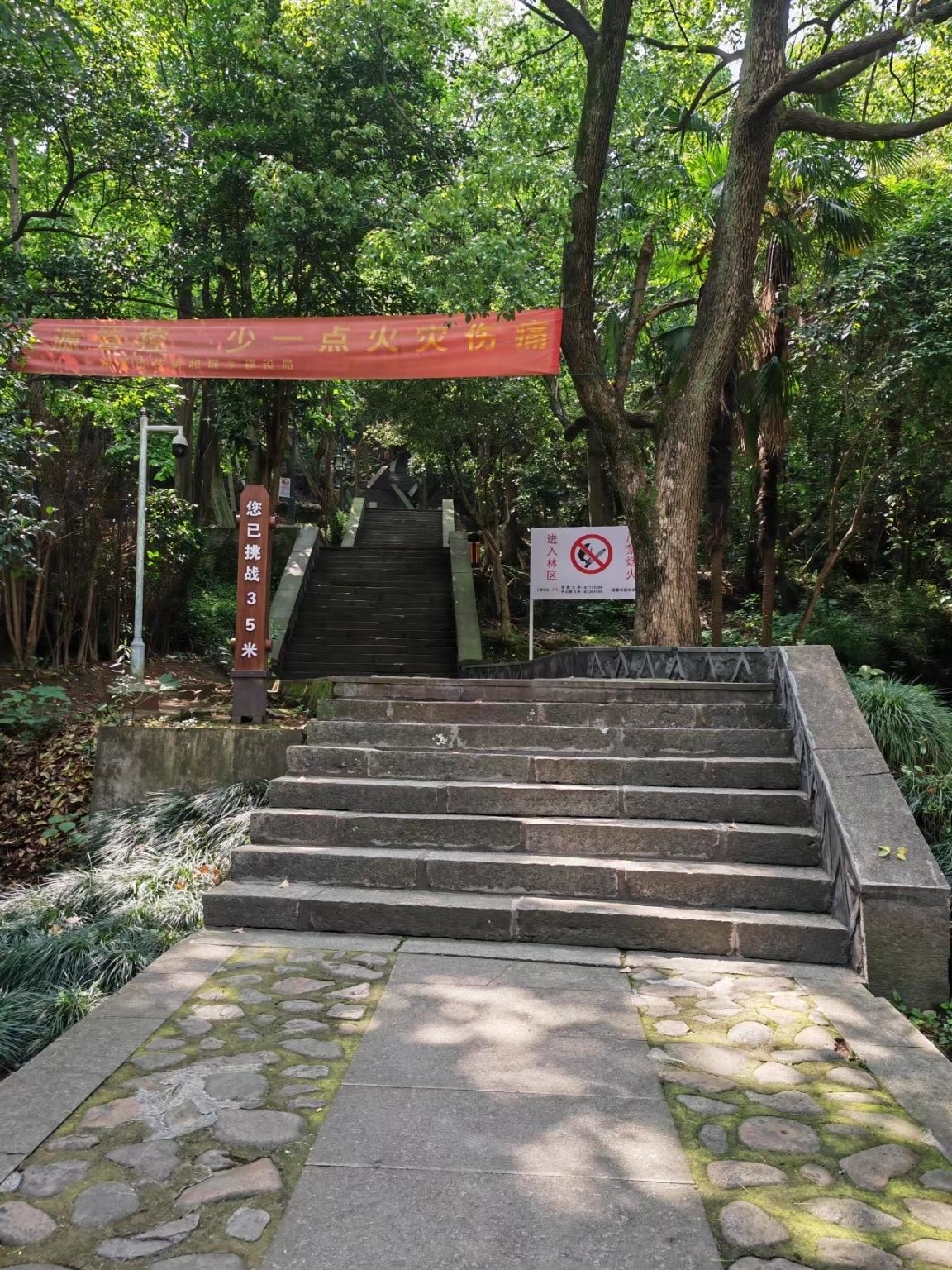 县龙山(老鹰山)游步道旅行图片 3