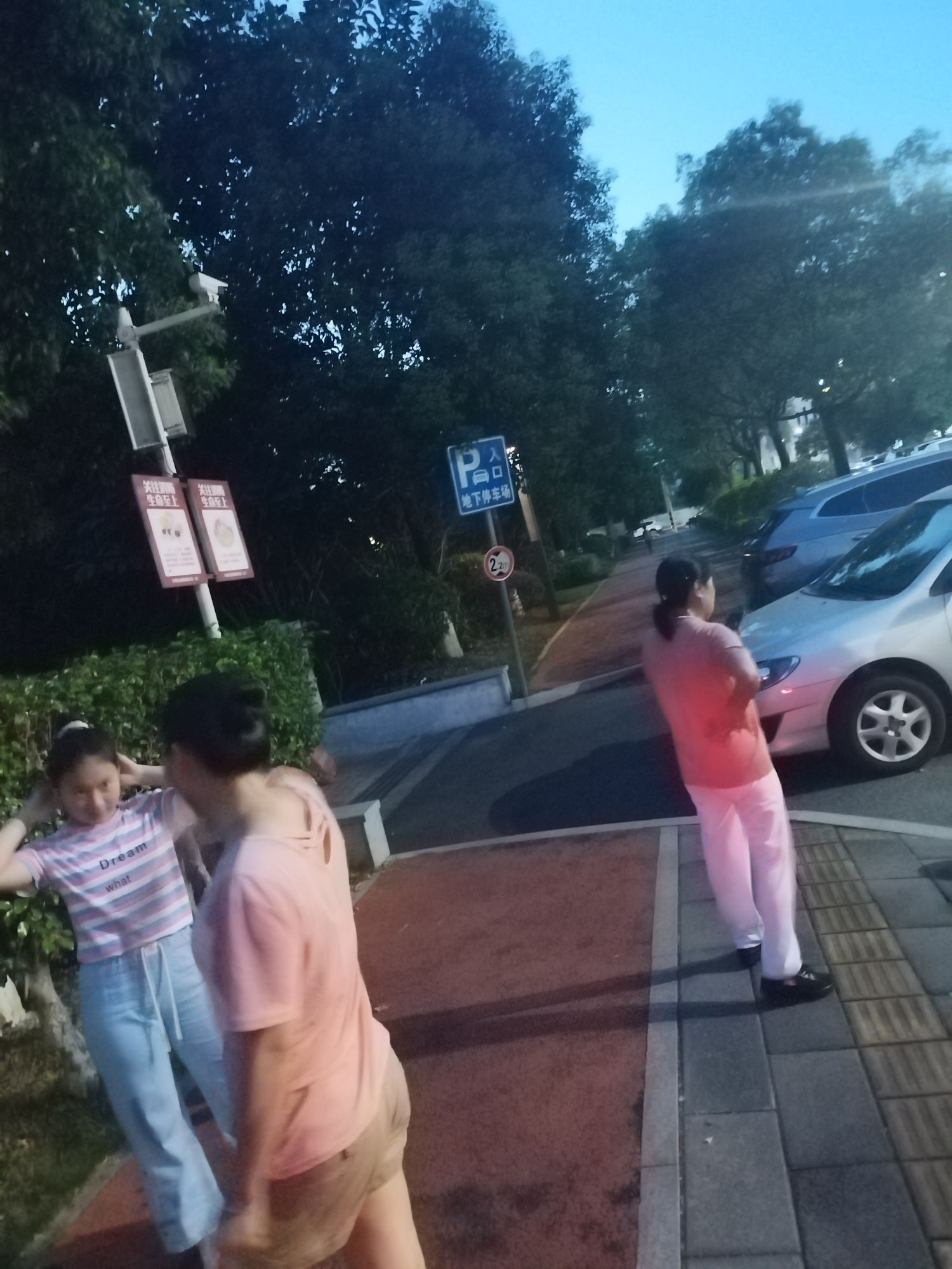 城西公园旅行图片 2