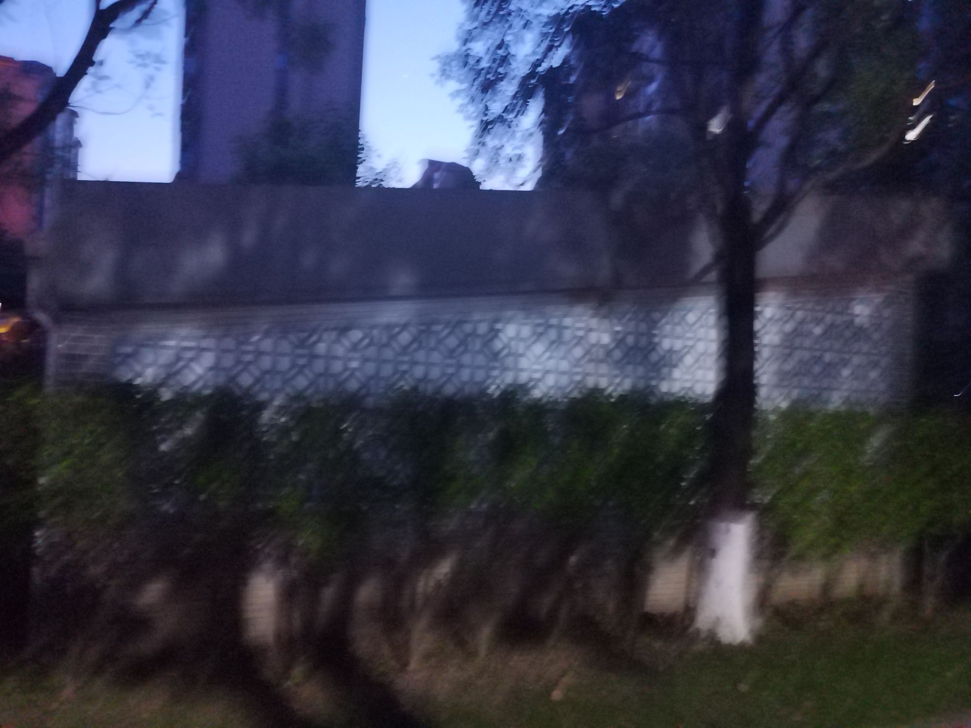 城西公园旅行图片 1