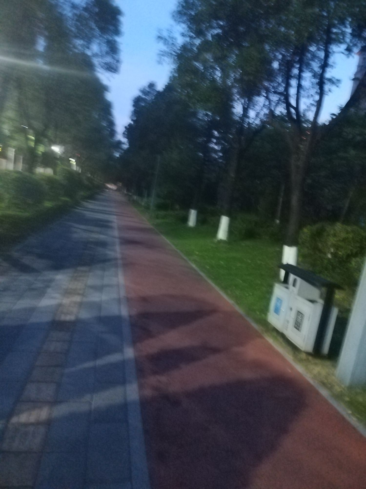 城西公园旅行图片 3