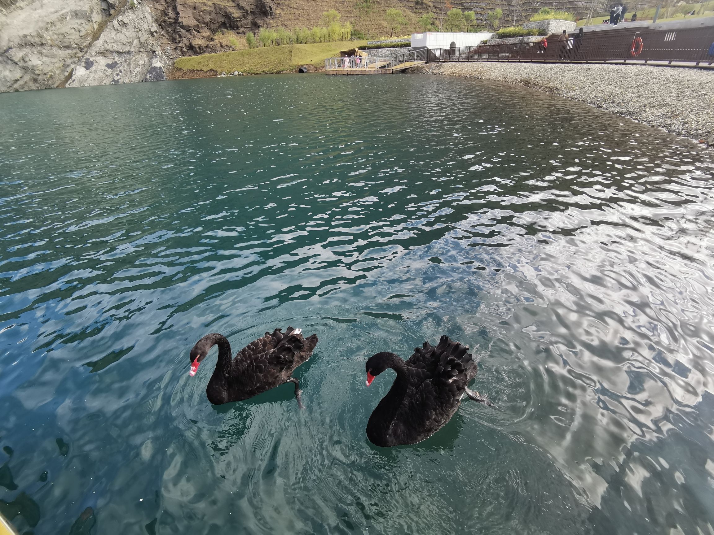 宝清县翡翠湖矿坑森林公园(暂停开放)旅行图片 3