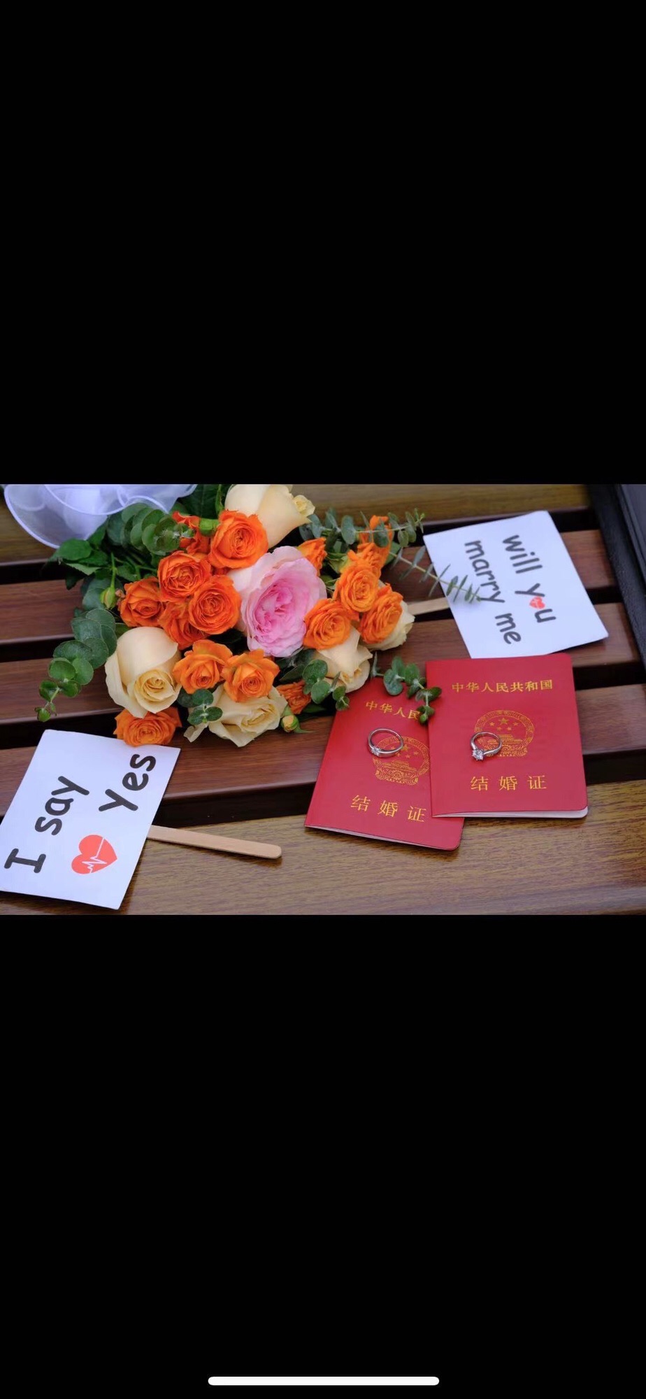 莫奈花园旅行图片 2
