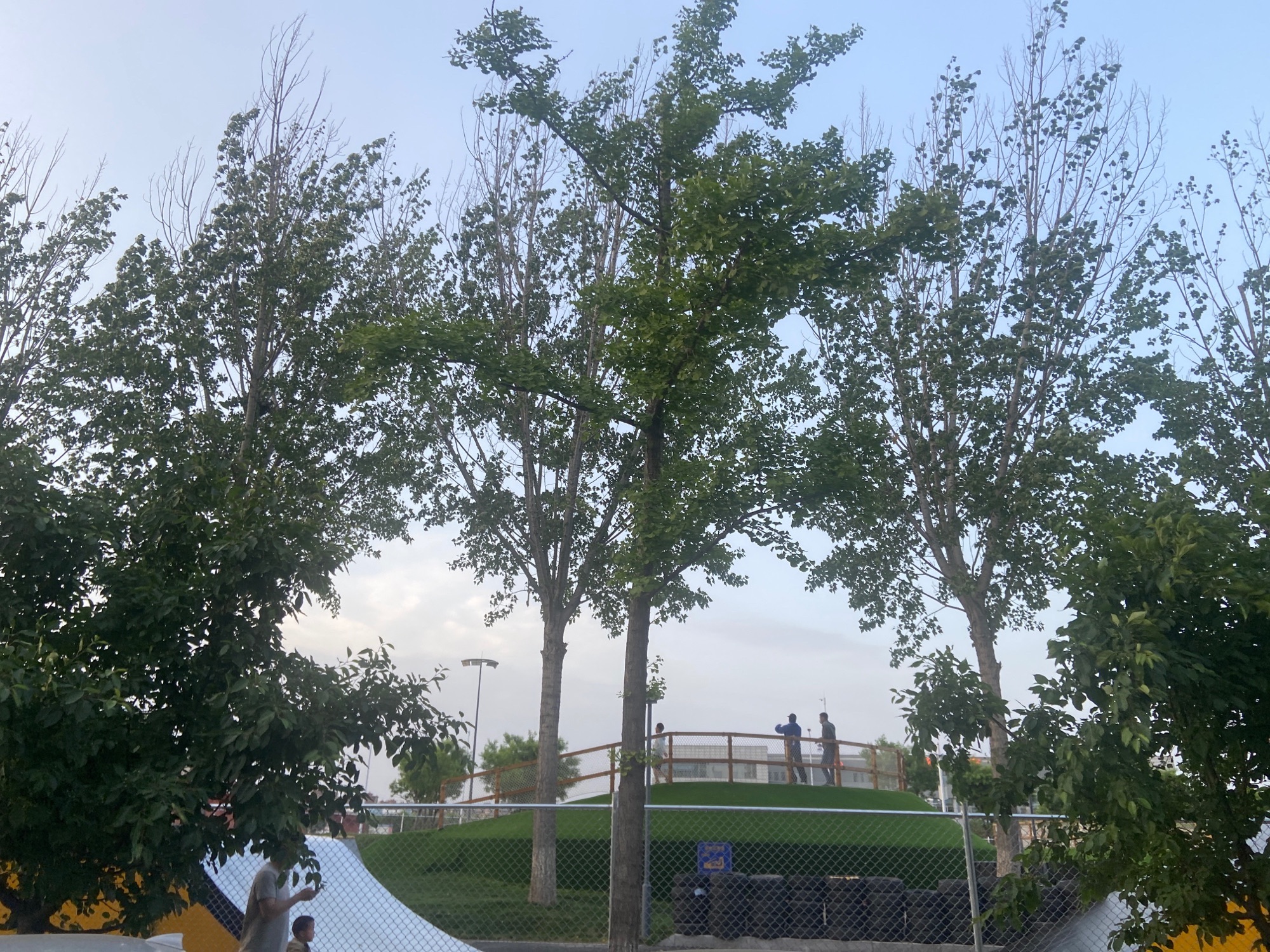 黑鲨城市泵道公园旅行图片 3
