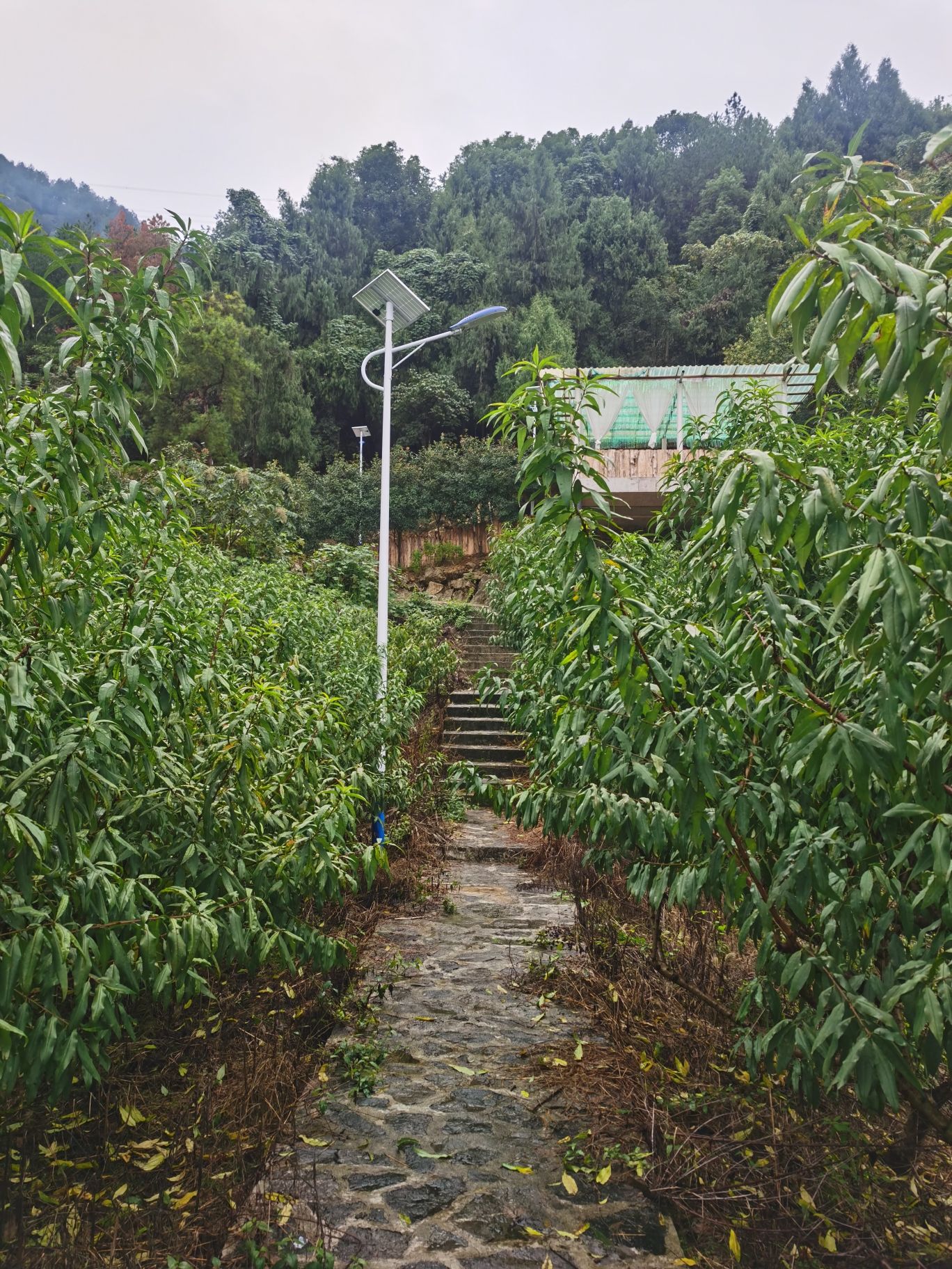 假角山天然溶洞旅行图片 1