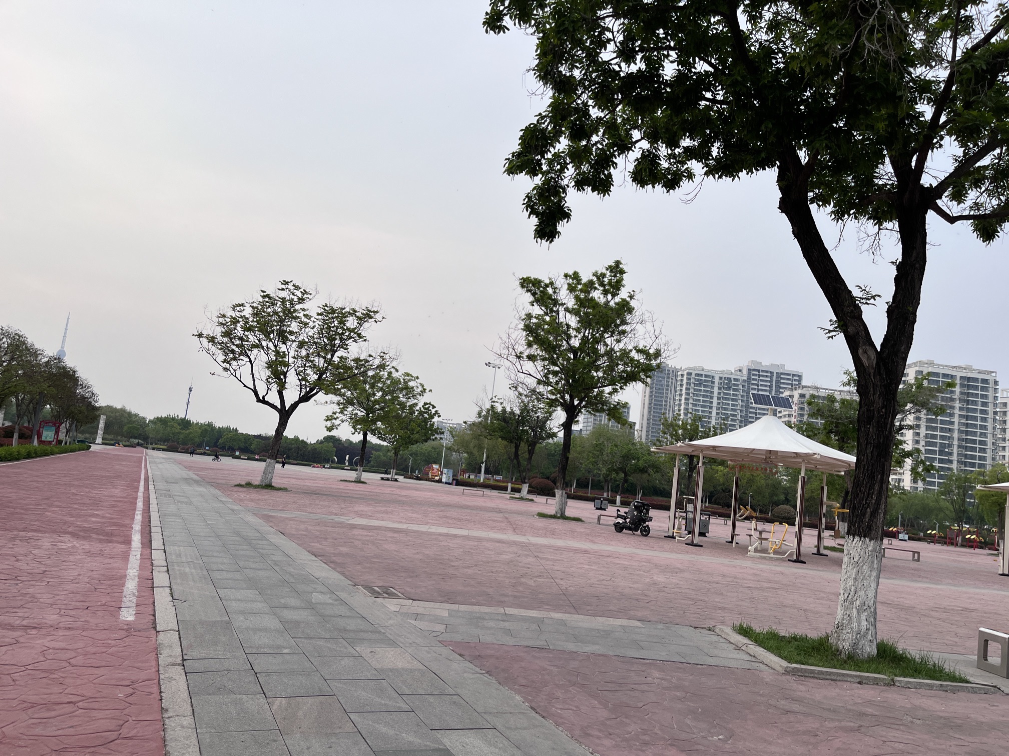 临沂滨河游乐园广场旅行图片 3