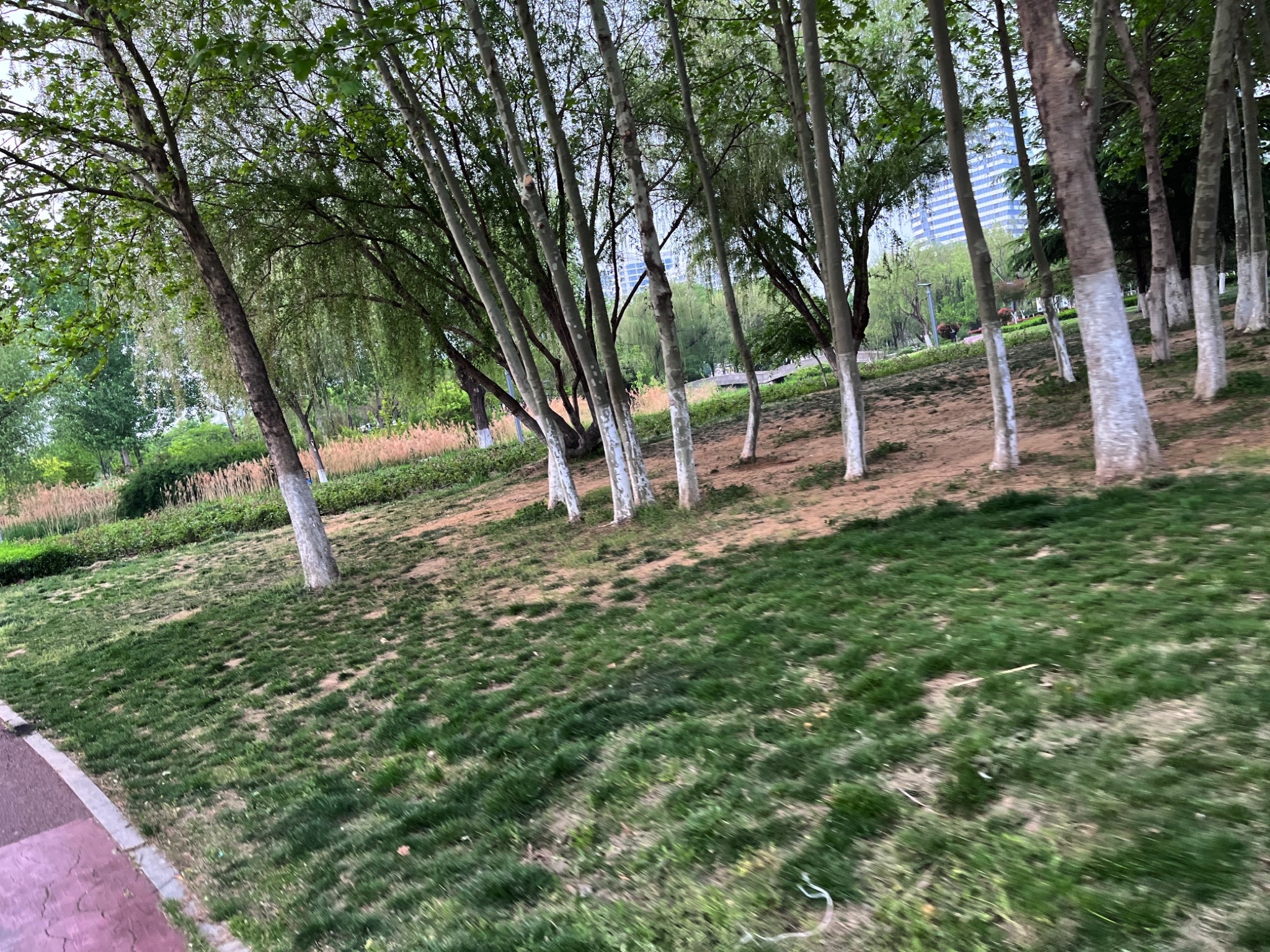 临沂滨河游乐园广场旅行图片 1