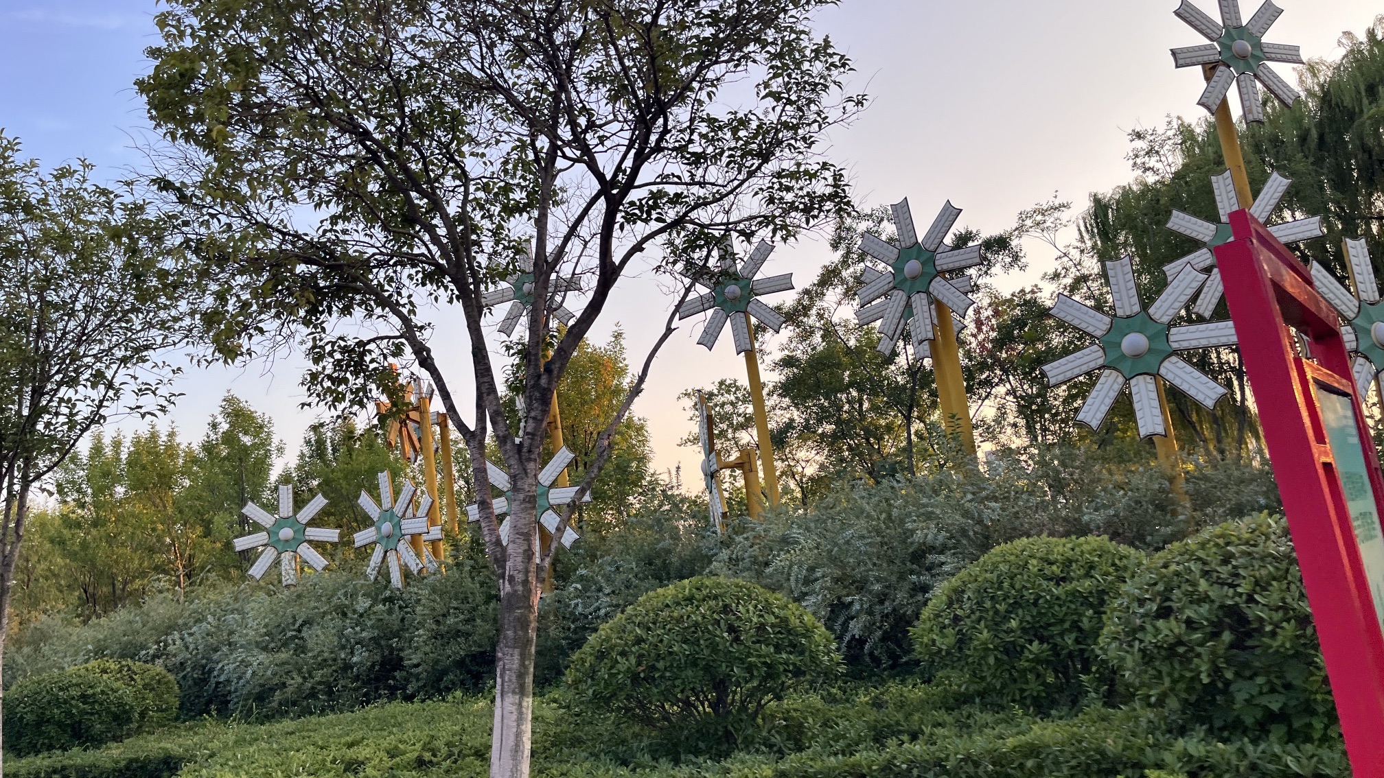 临沂滨河游乐园广场旅行图片 1