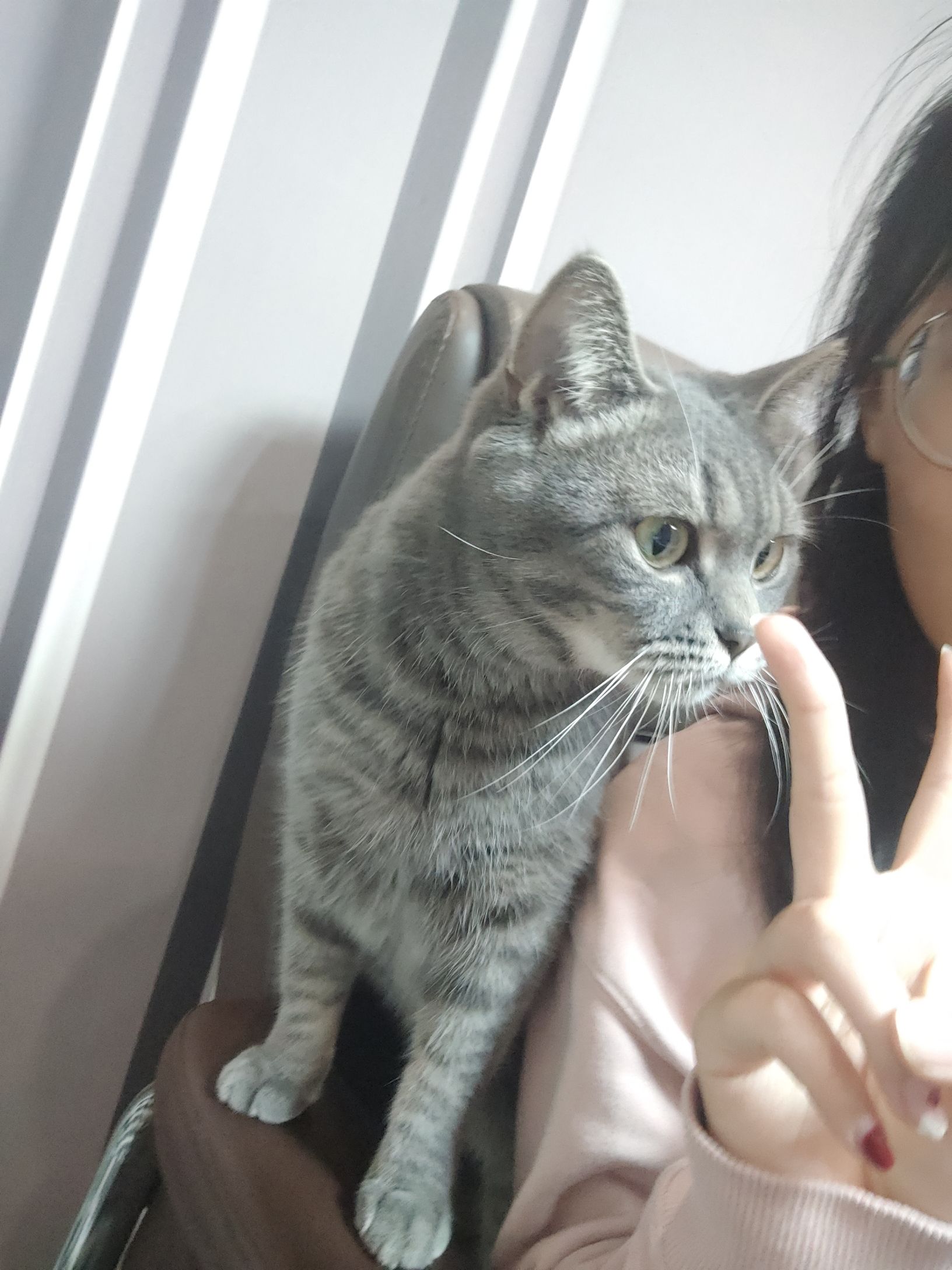 场地封面-KGCLUB·撸猫·桌游·棋牌(嘉悦广场店)