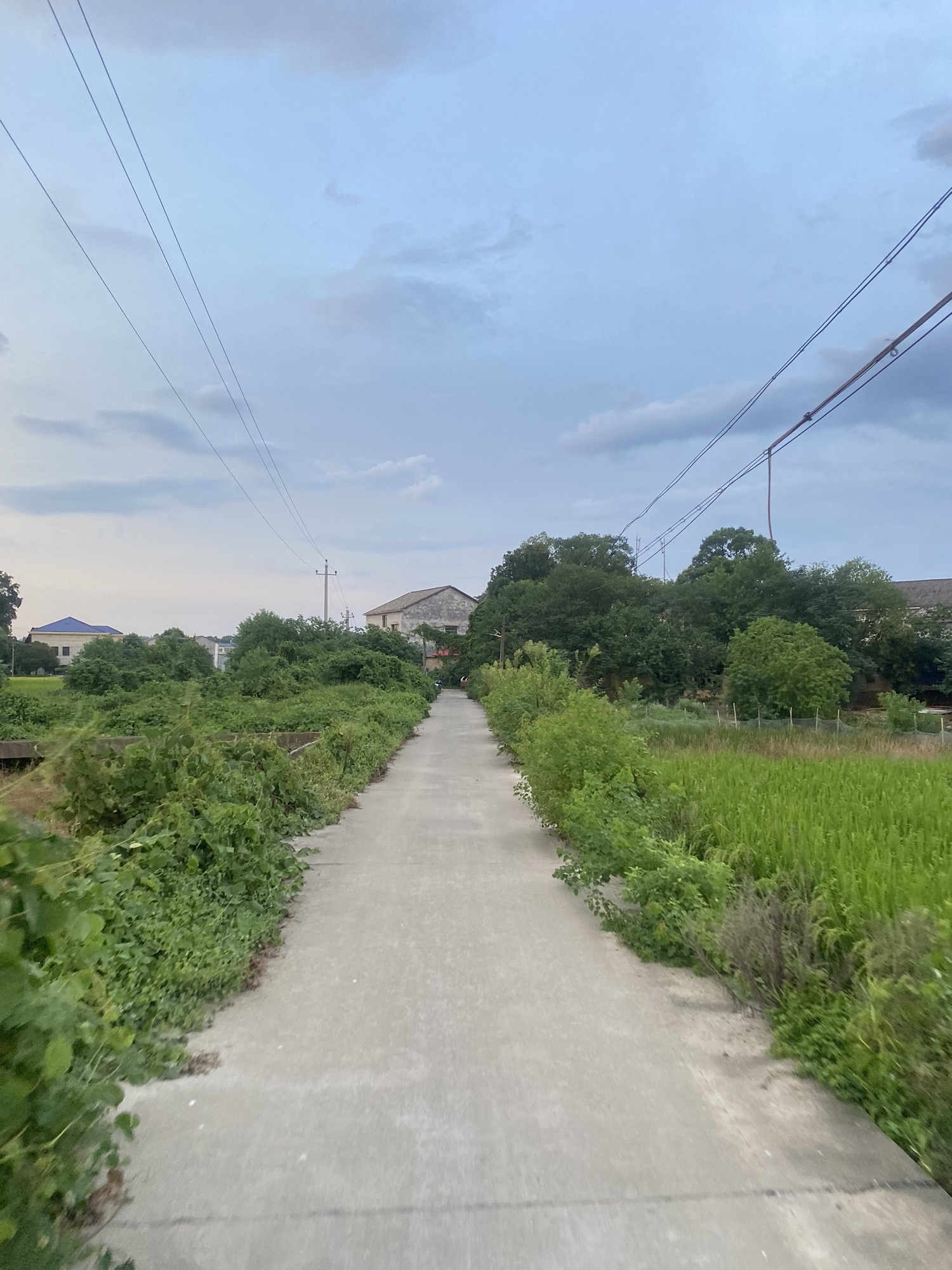 漏水坪瀑布旅行图片 3