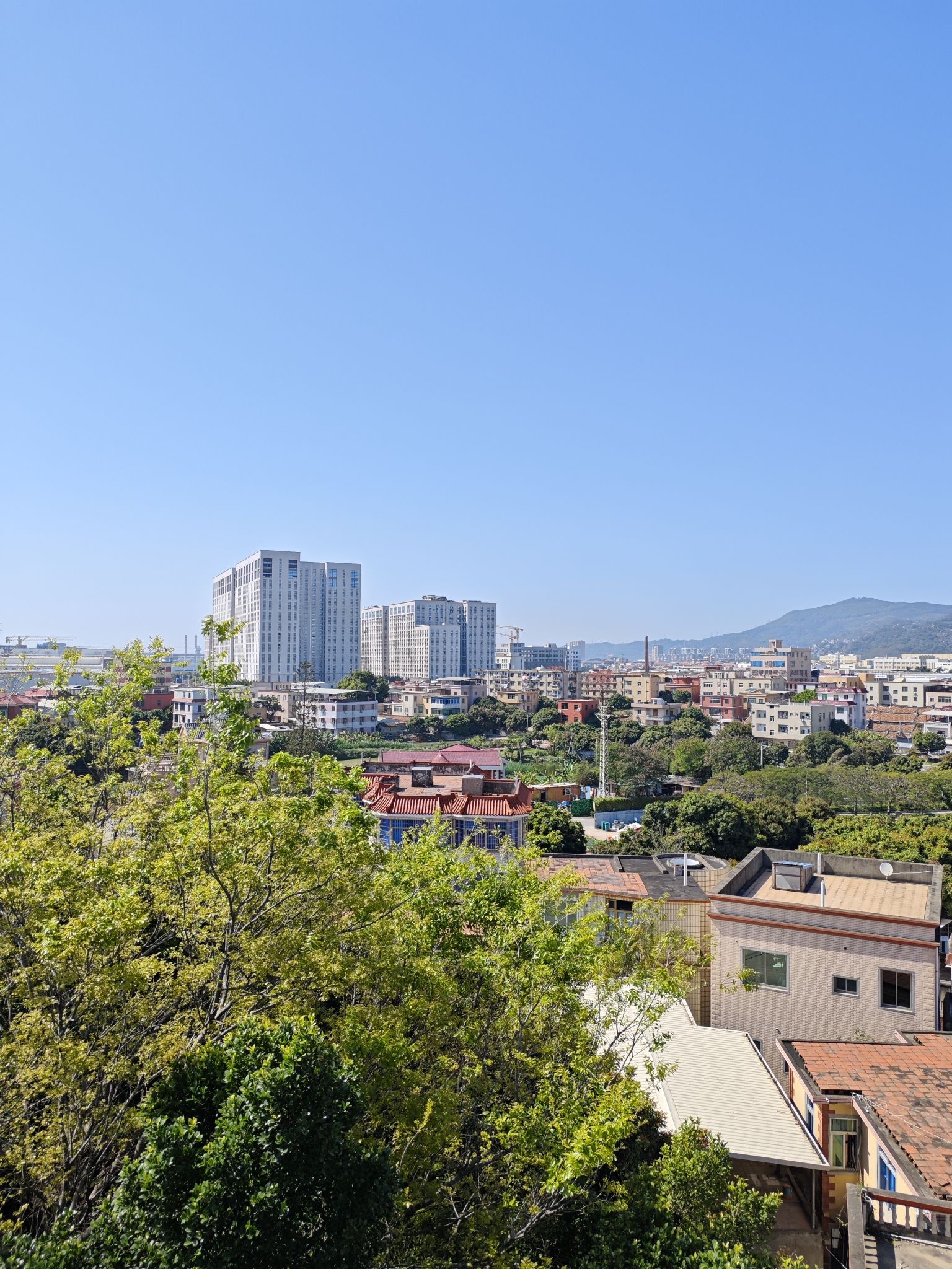 狮头山公园旅行图片 3