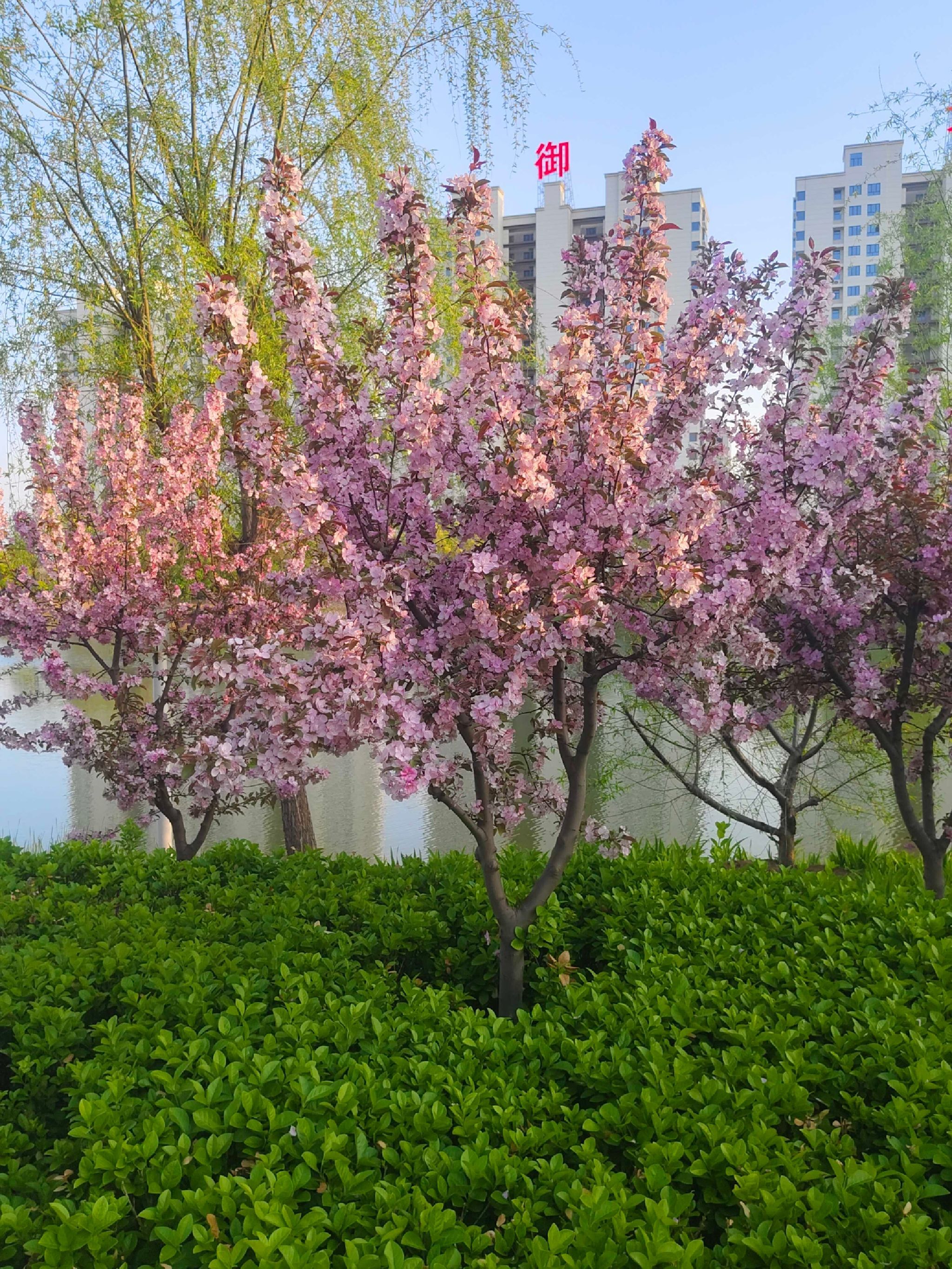 沙河生态公园旅行图片 1