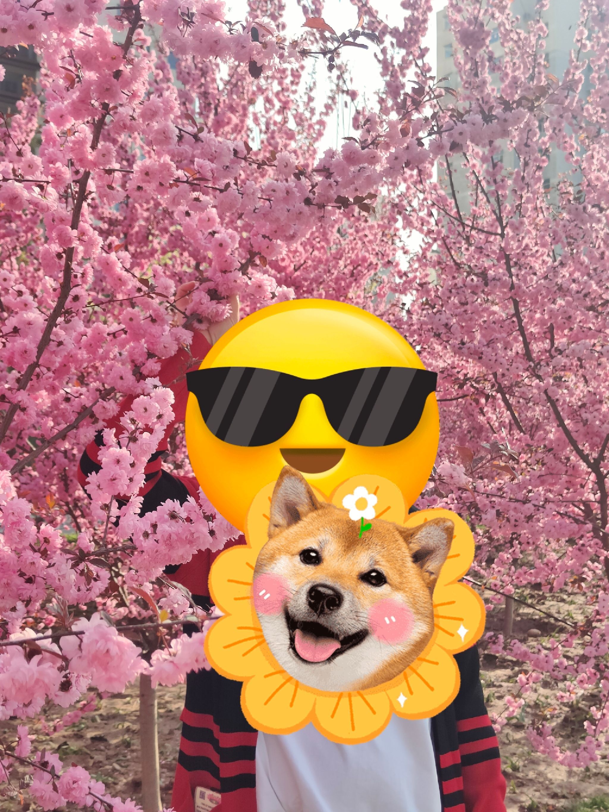 沙河生态公园旅行图片 3