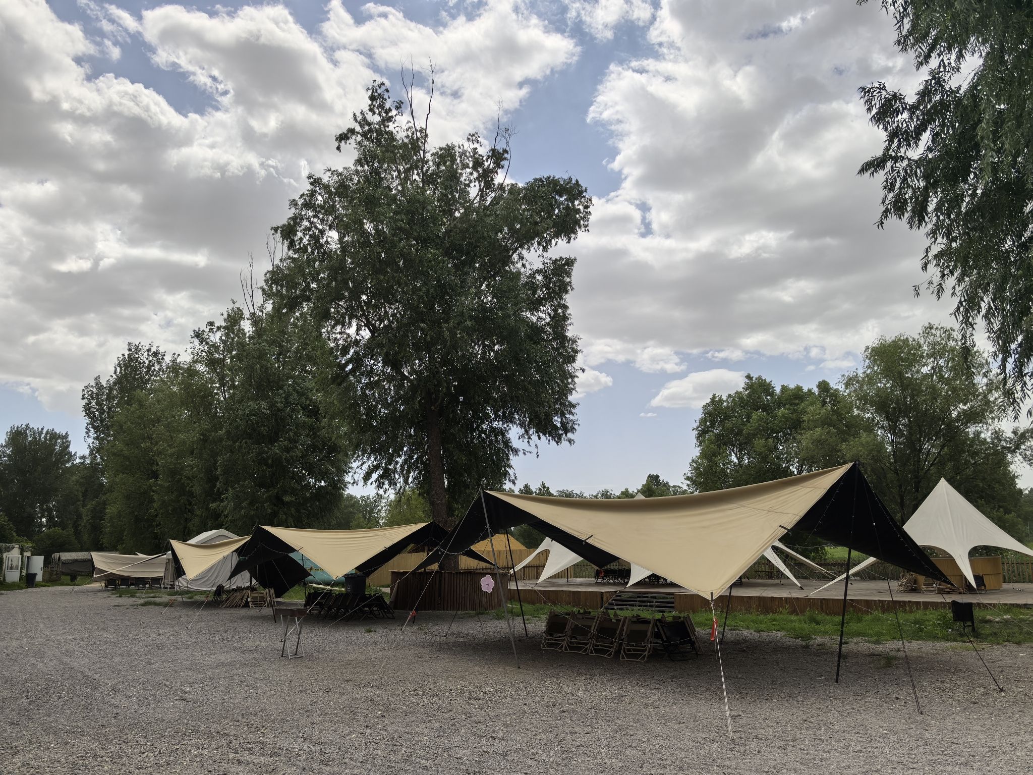 场地封面-树小野城市营地