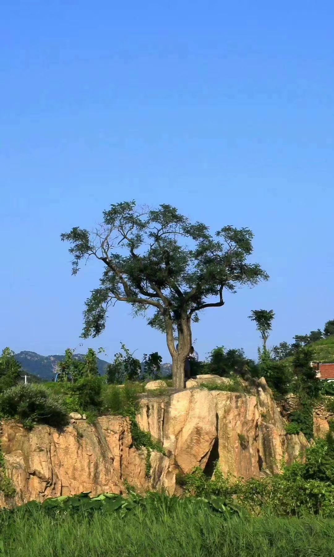 董家庄钓鱼台瀑布旅行图片 2