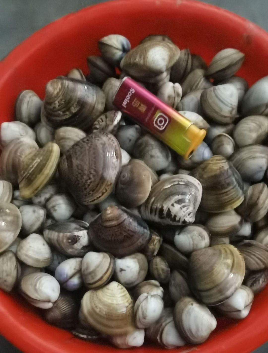 龙威赶海度假区旅行图片 1