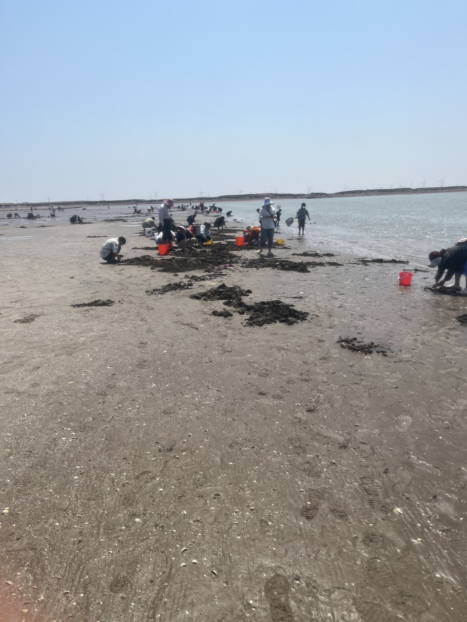 龙威赶海度假区旅行图片 3