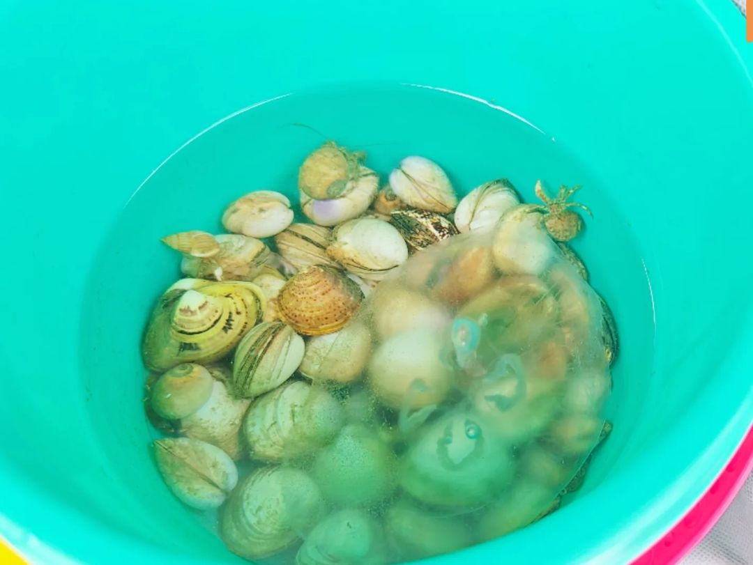 龙威赶海度假区旅行图片 2