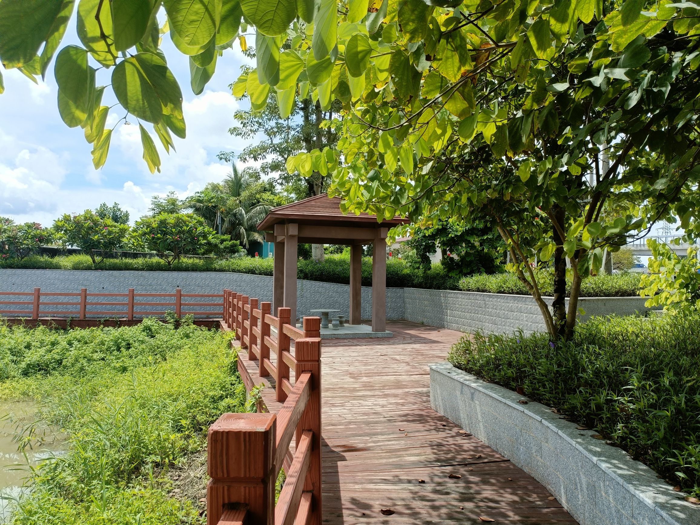 海鱼公园旅行图片 3
