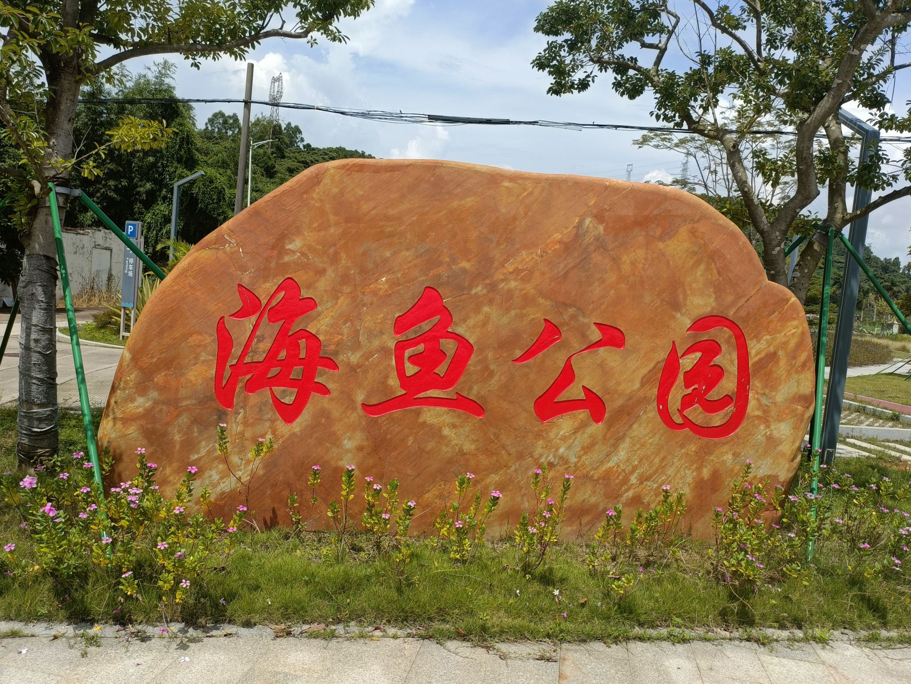海鱼公园旅行图片 1
