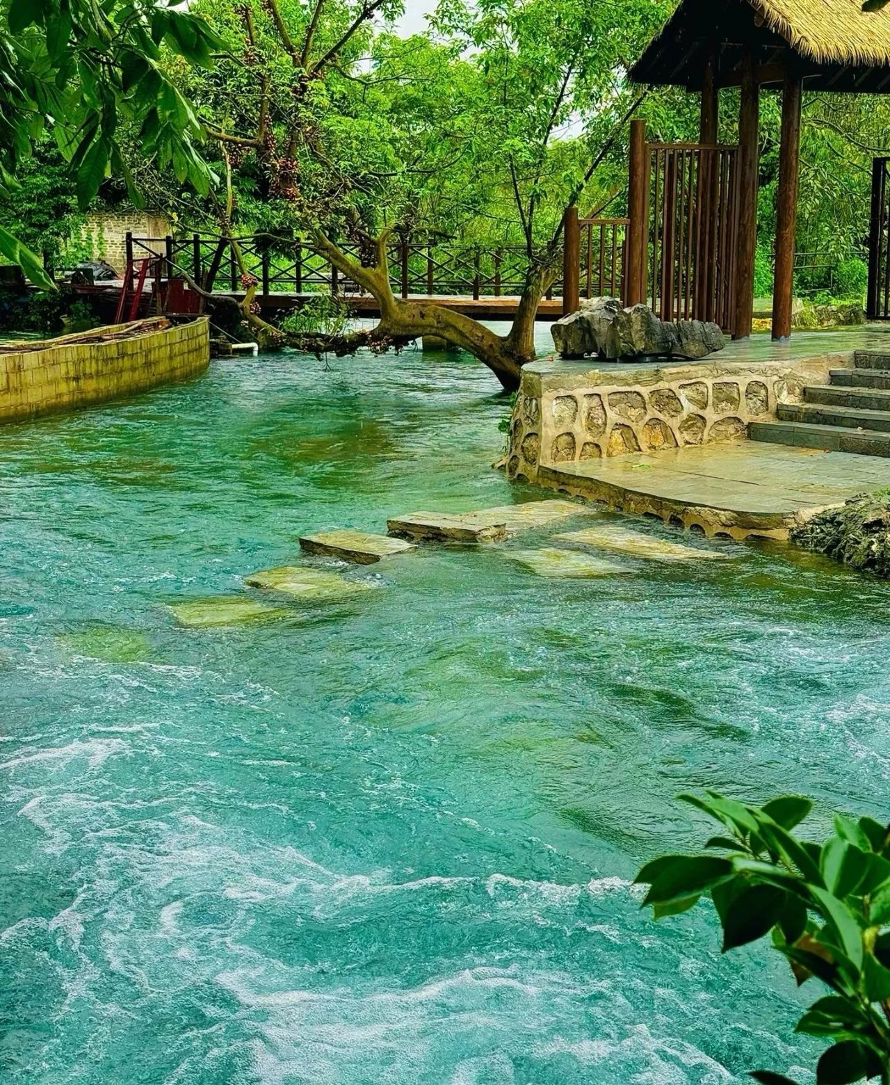 天琴壮寨旅行图片 1