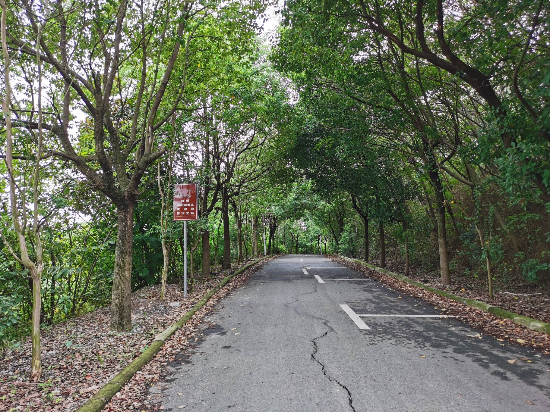 龙门寺遗址旅行图片 2