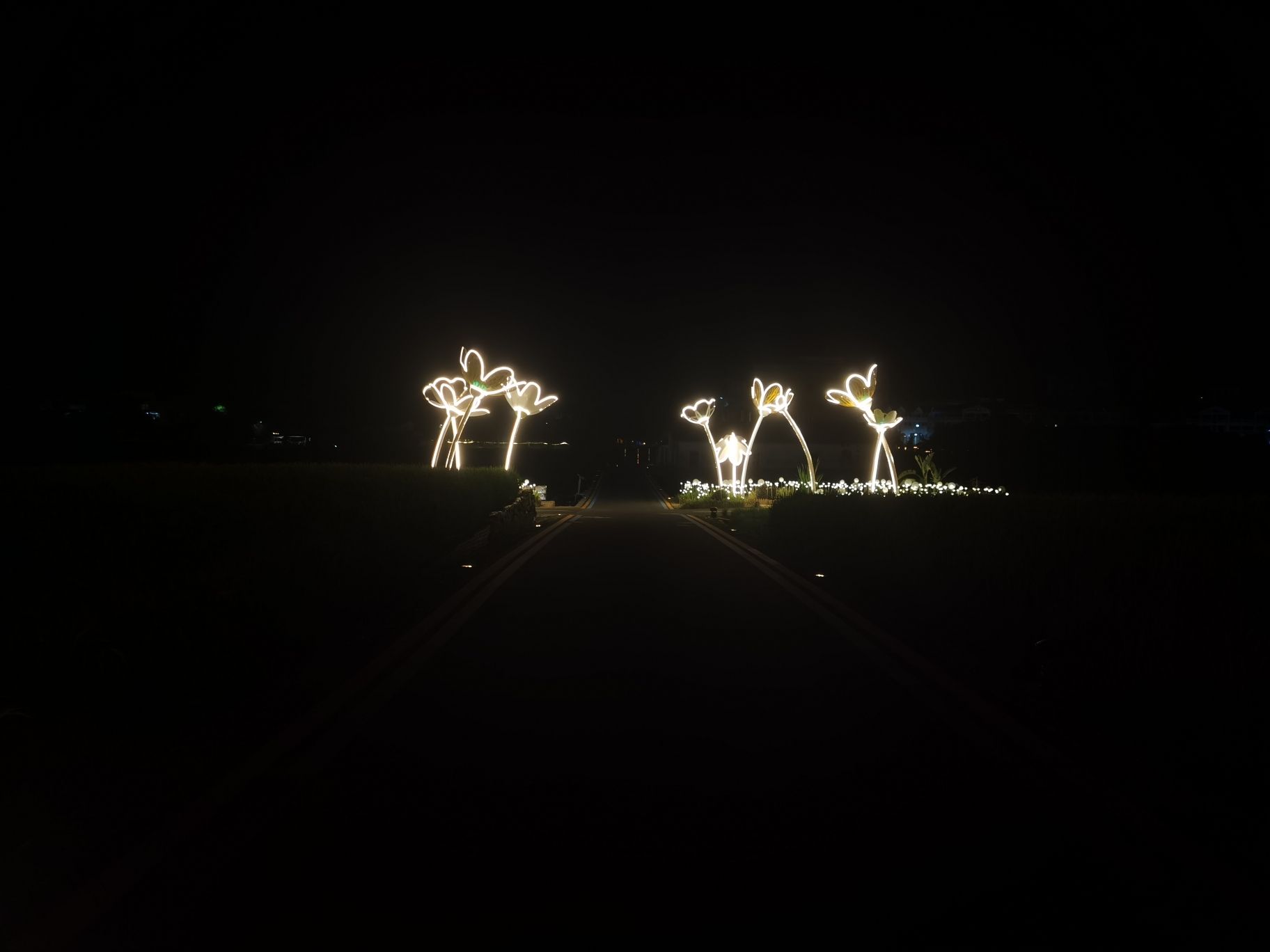 坂里丽田园景区旅行图片 3