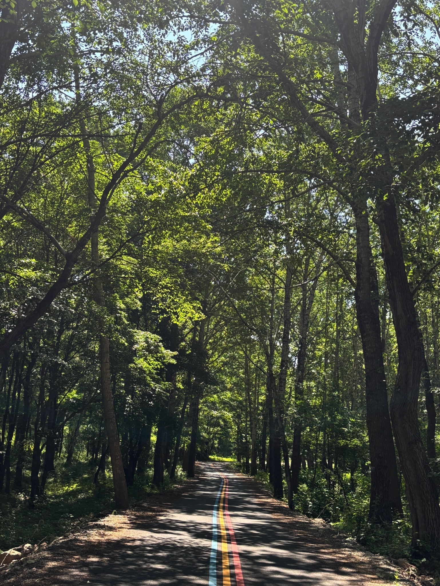 黑熊谷(暂停开放)旅行图片 2