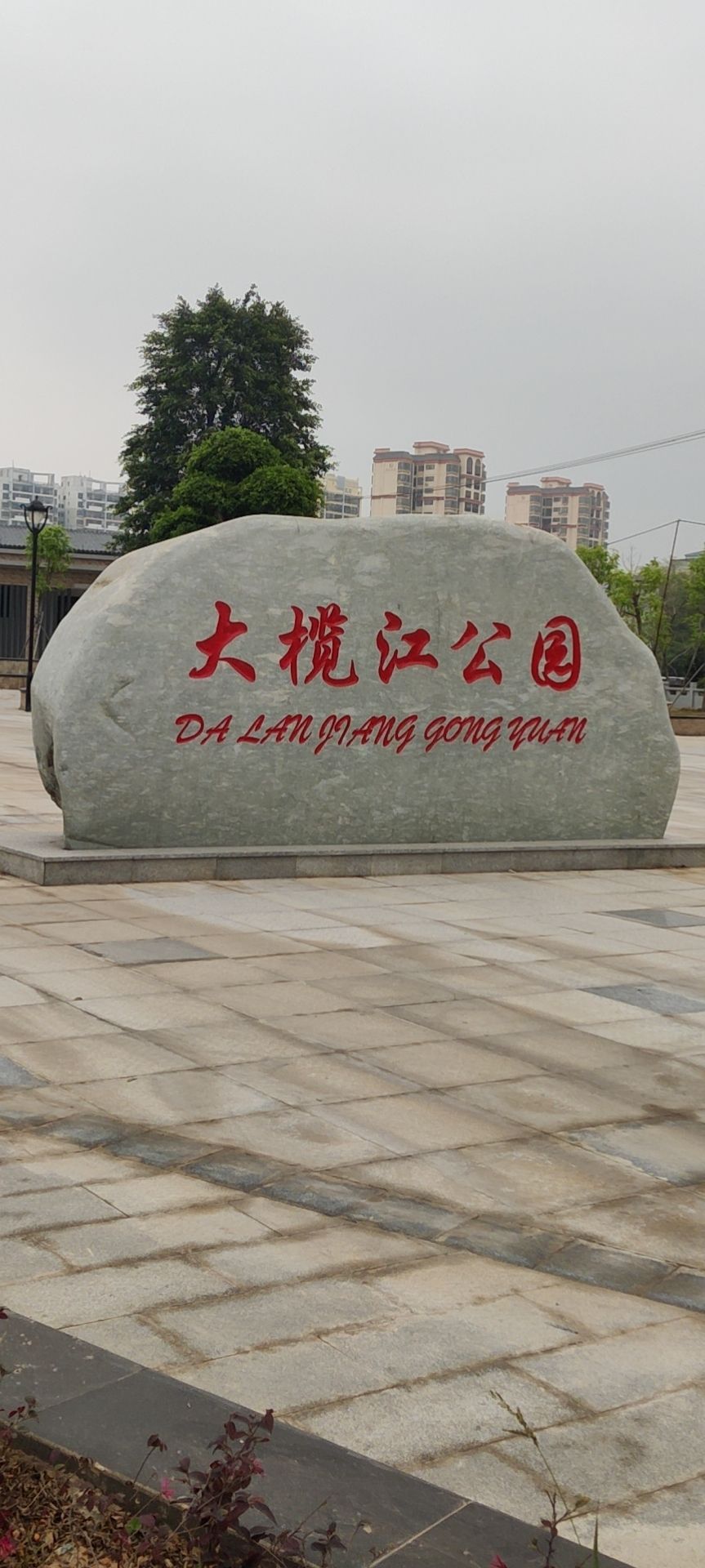 大榄江公园旅行图片 1