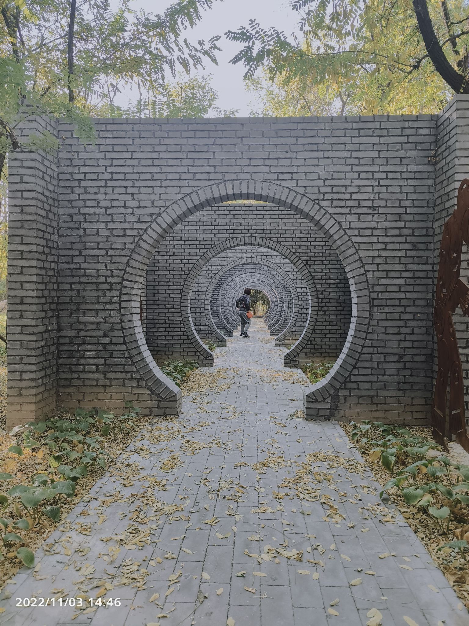 唐山中心劳动公园旅行图片 3
