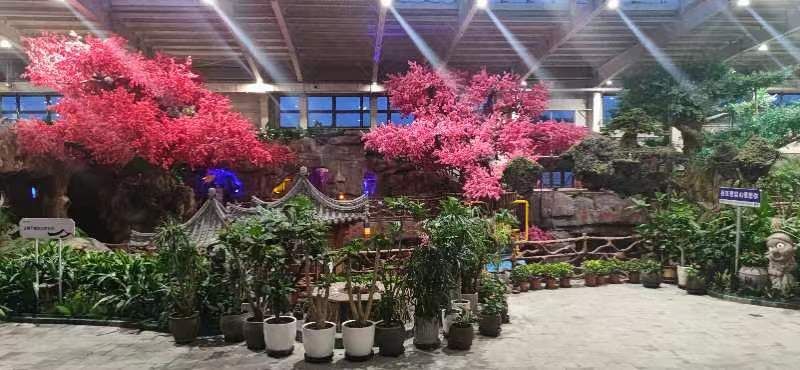 琵岩山温泉古村落旅行图片 1