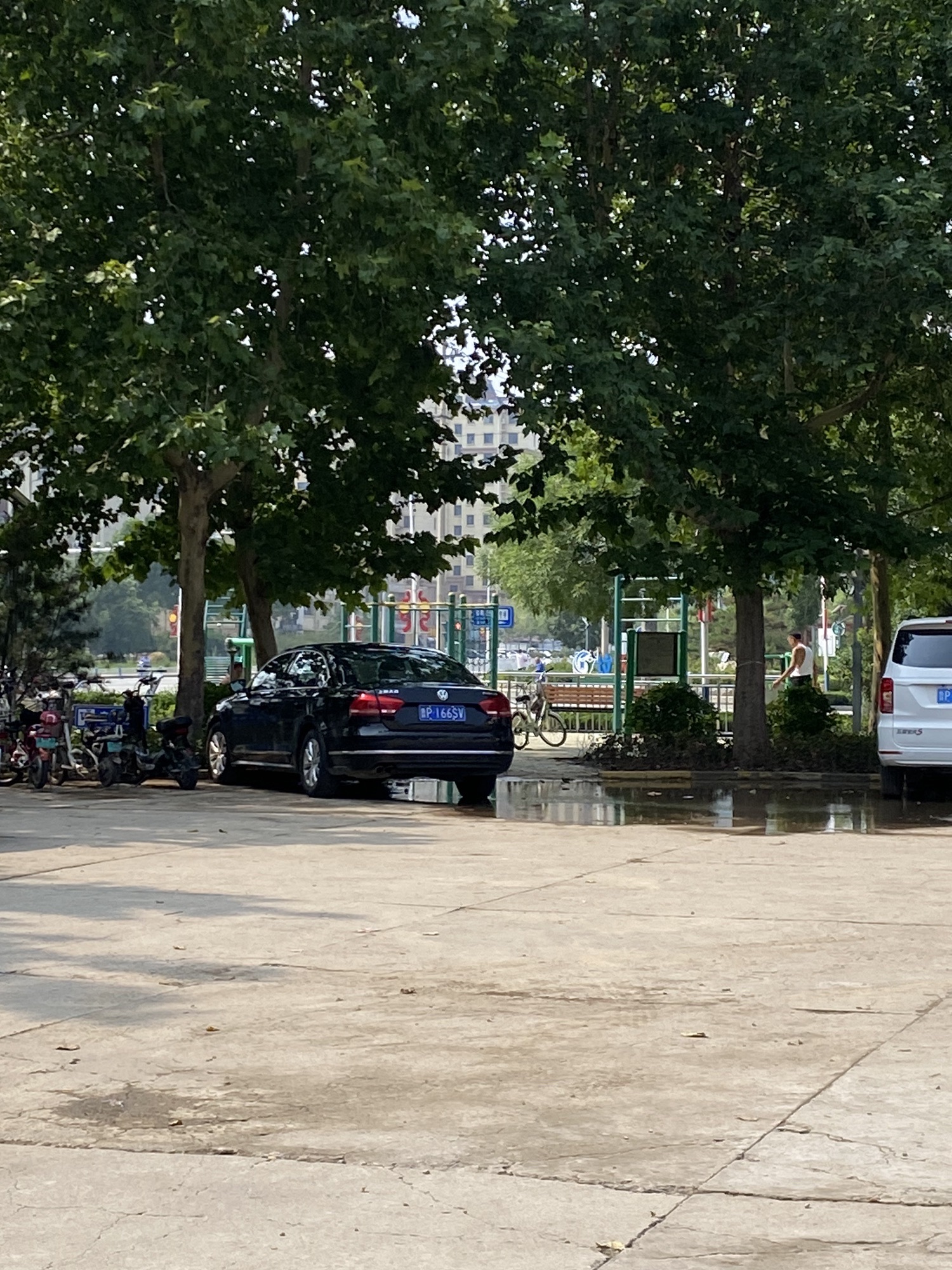 民政局南邻游园旅行图片 3