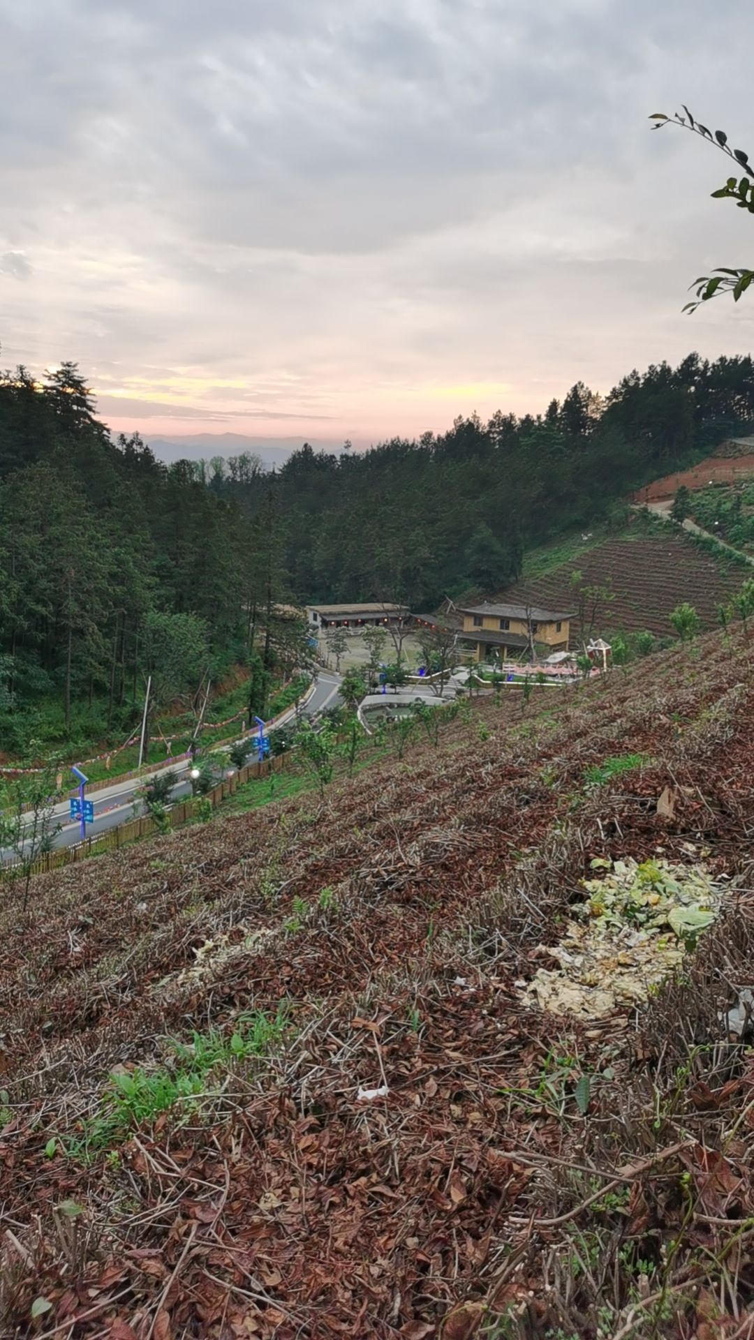 安吉龙山谷·云上牧场旅行图片 3
