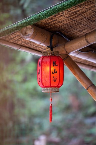 安吉龙山谷·云上牧场旅行图片 3